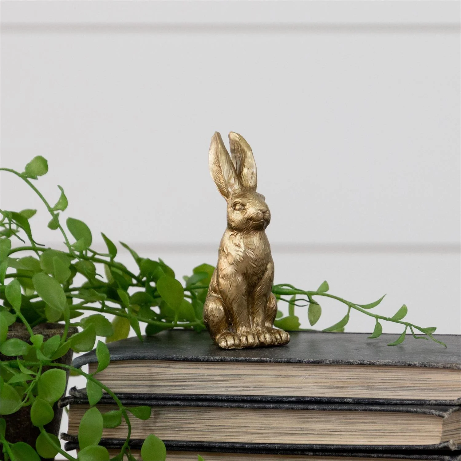 World-Class Mini Cottage Bunny Gold Exceptional