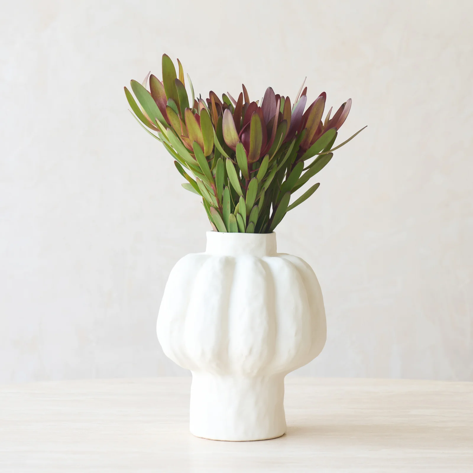 Durable Aliveri Vase White Innovative