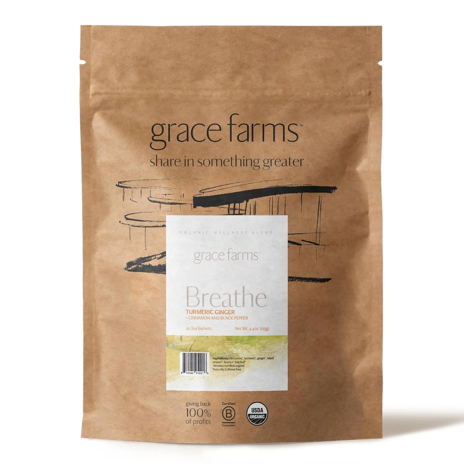 Flexible Grace Farms Breathe Wellness Organic Tea Blend 50 Sachet Pouch Turmeric and Ginger with Adaptogenic Herbs Immunity and Digestion Support Artisan