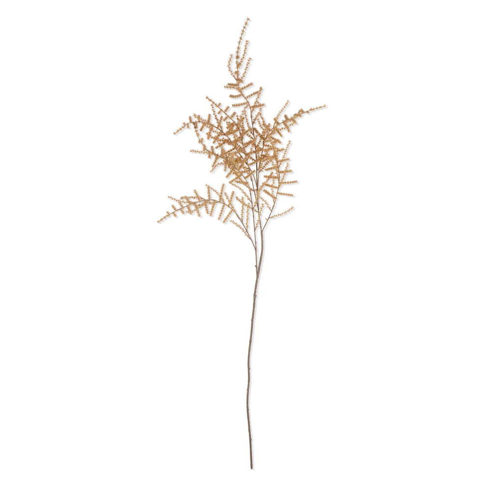 Trusted Asparagus Fern Desert - Faux Plant Dependable