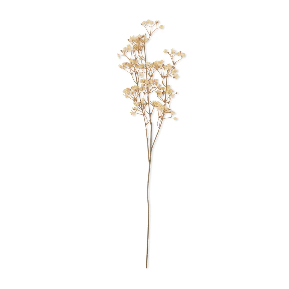 Healthy Artificial Gypsophila Cream Organic