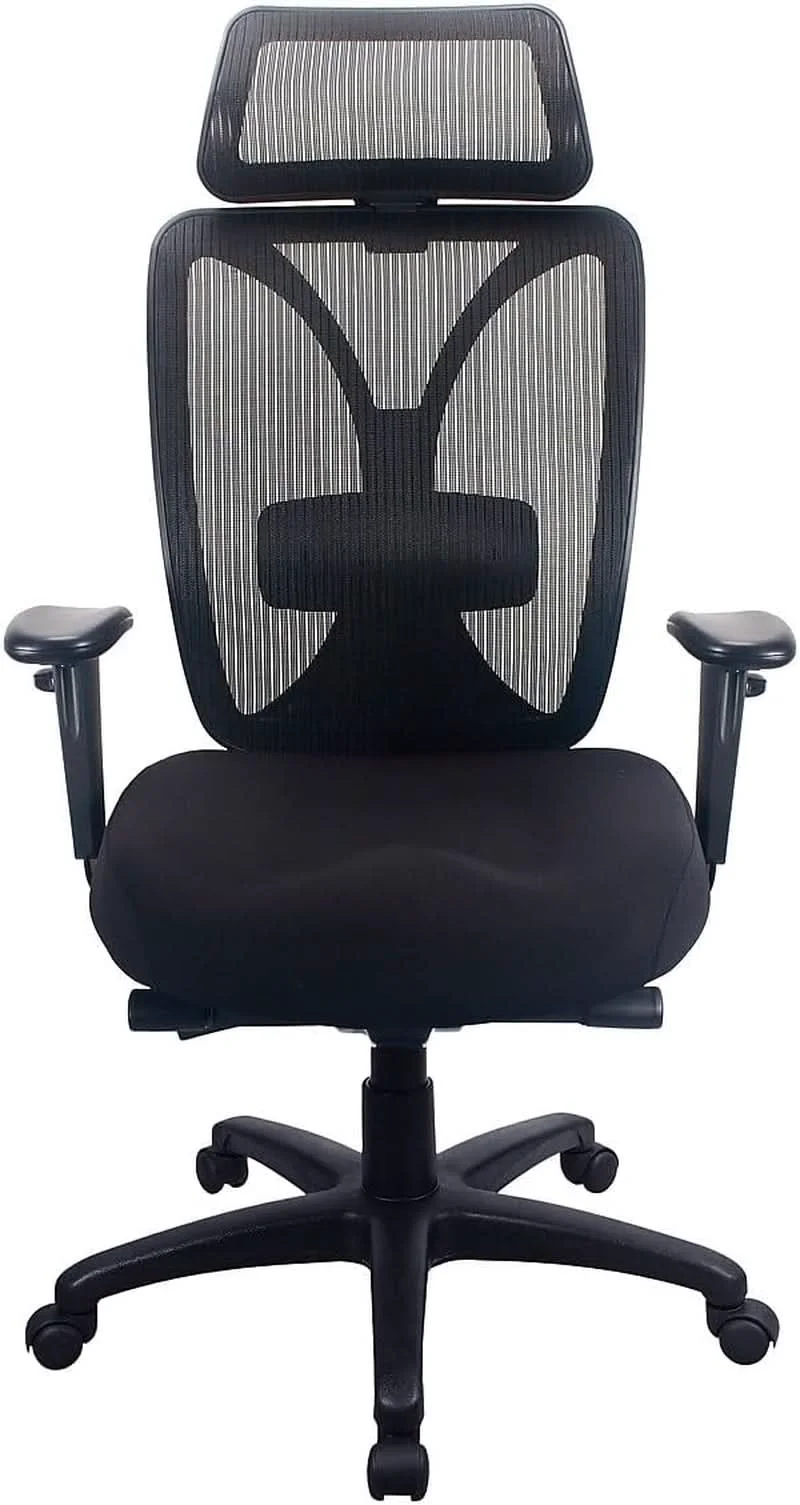 Flexible Raynor Black Ergonomic Desk Chair With Lumbar Support Certified