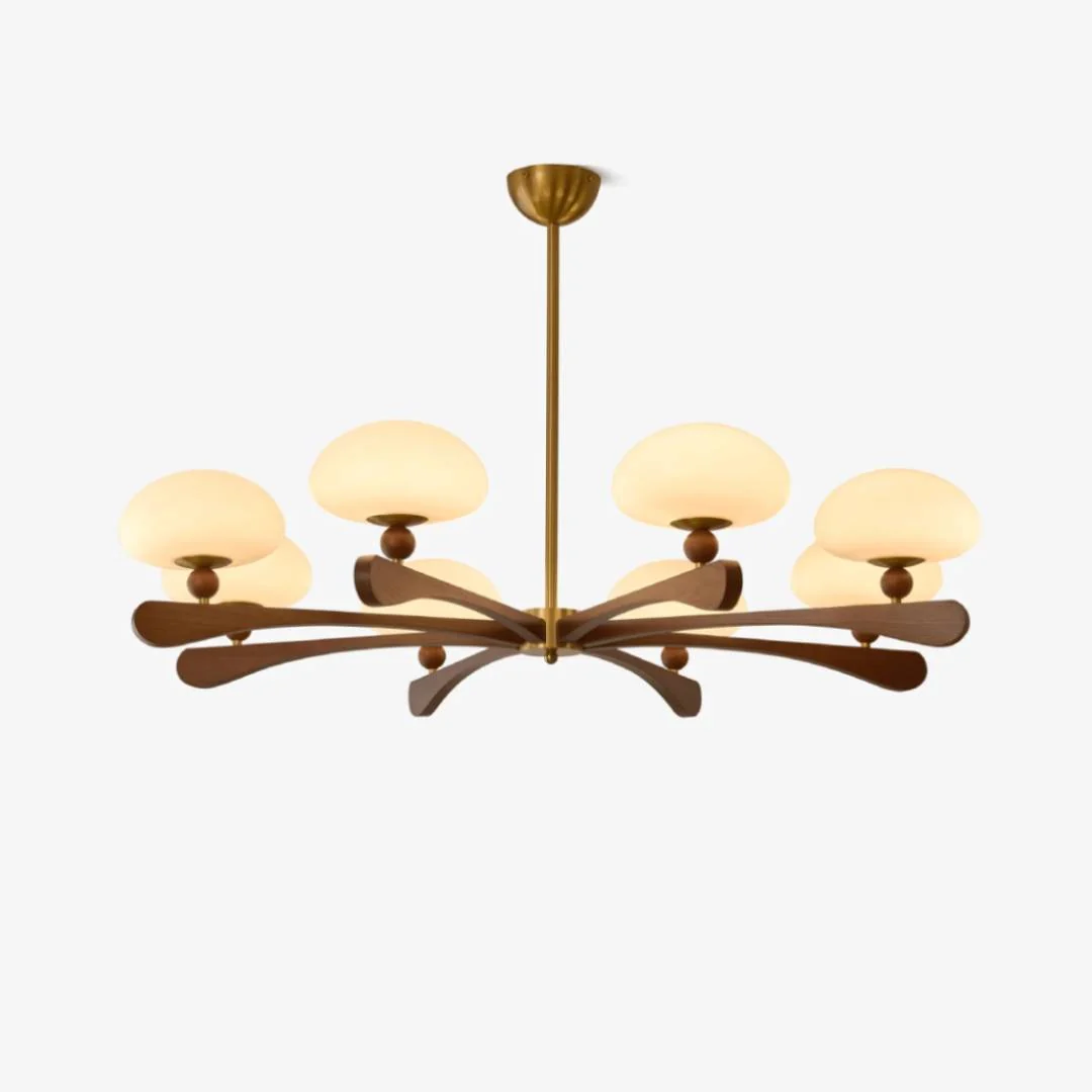 First-Class Obrykr Shine Chandelier Healthy