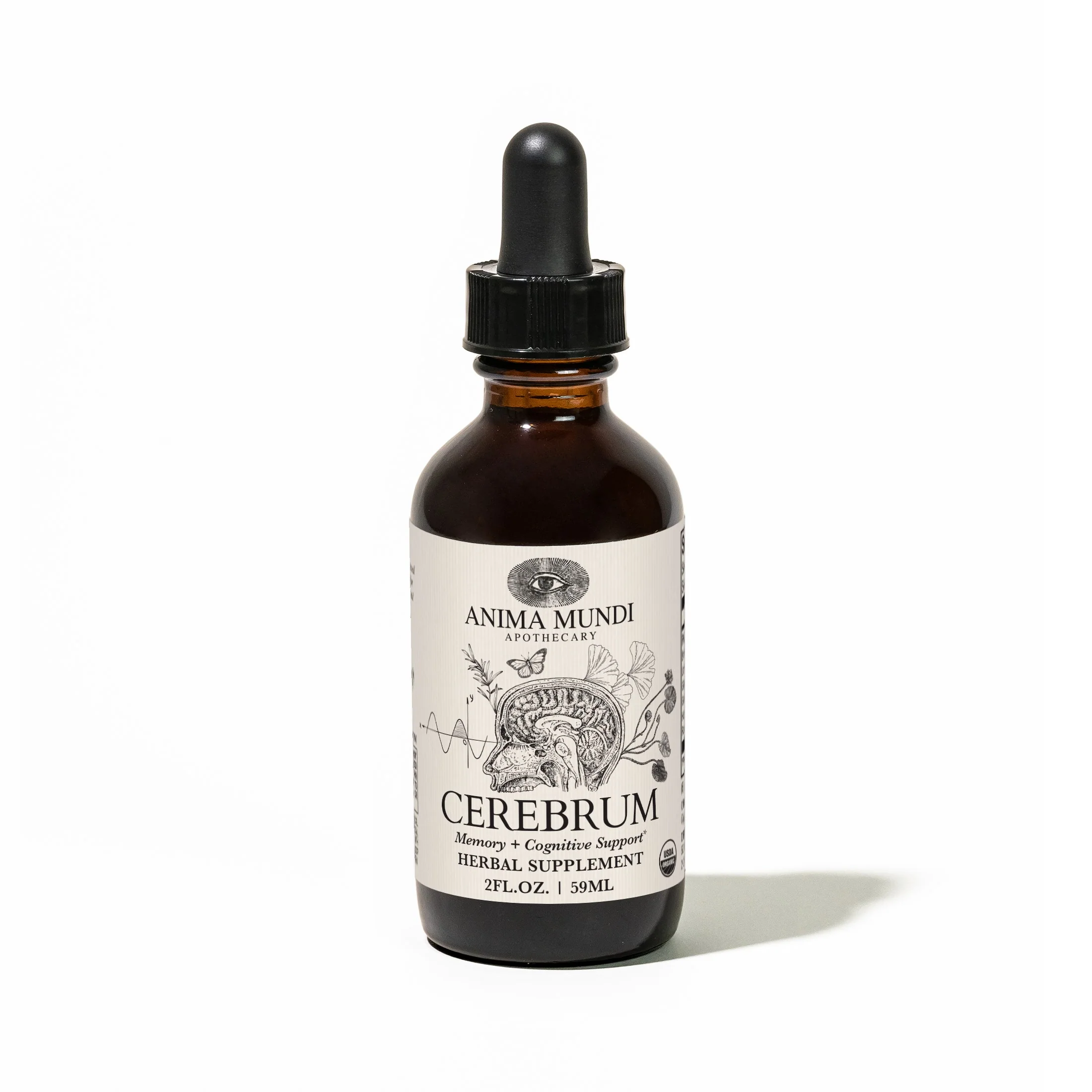 Consistent Anima Mundi CEREBRUM Tonic Memory Energy Enhanced