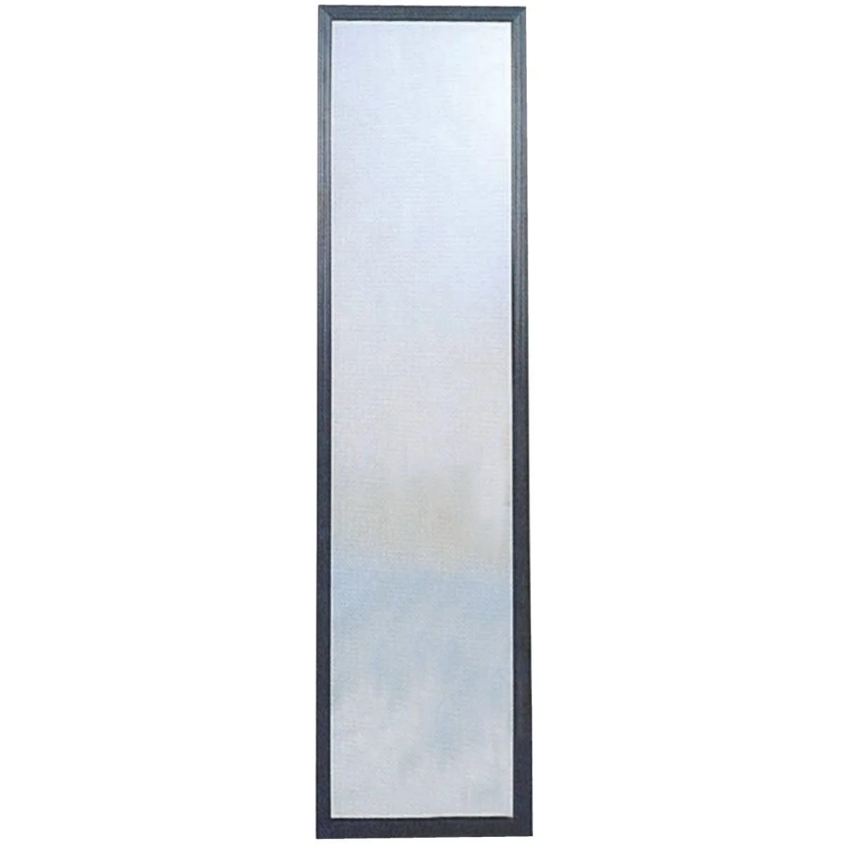 Trusted Home Decor Innovations Suave 13 In. x 49 In. Black Plastic Door Mirror Detailed