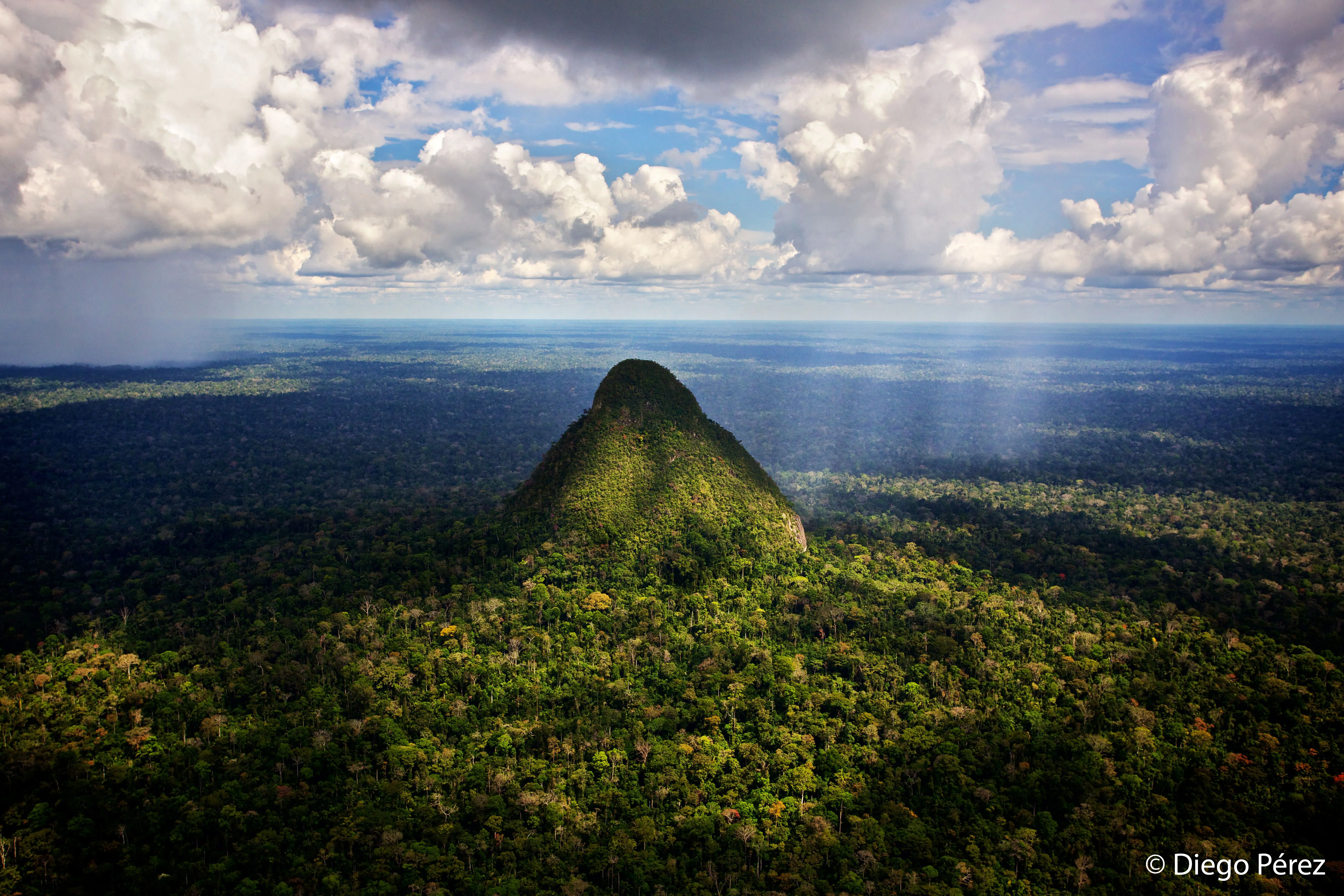 Sustainable Grove Co. Safeguard Critical Rainforest Habitat Reliable