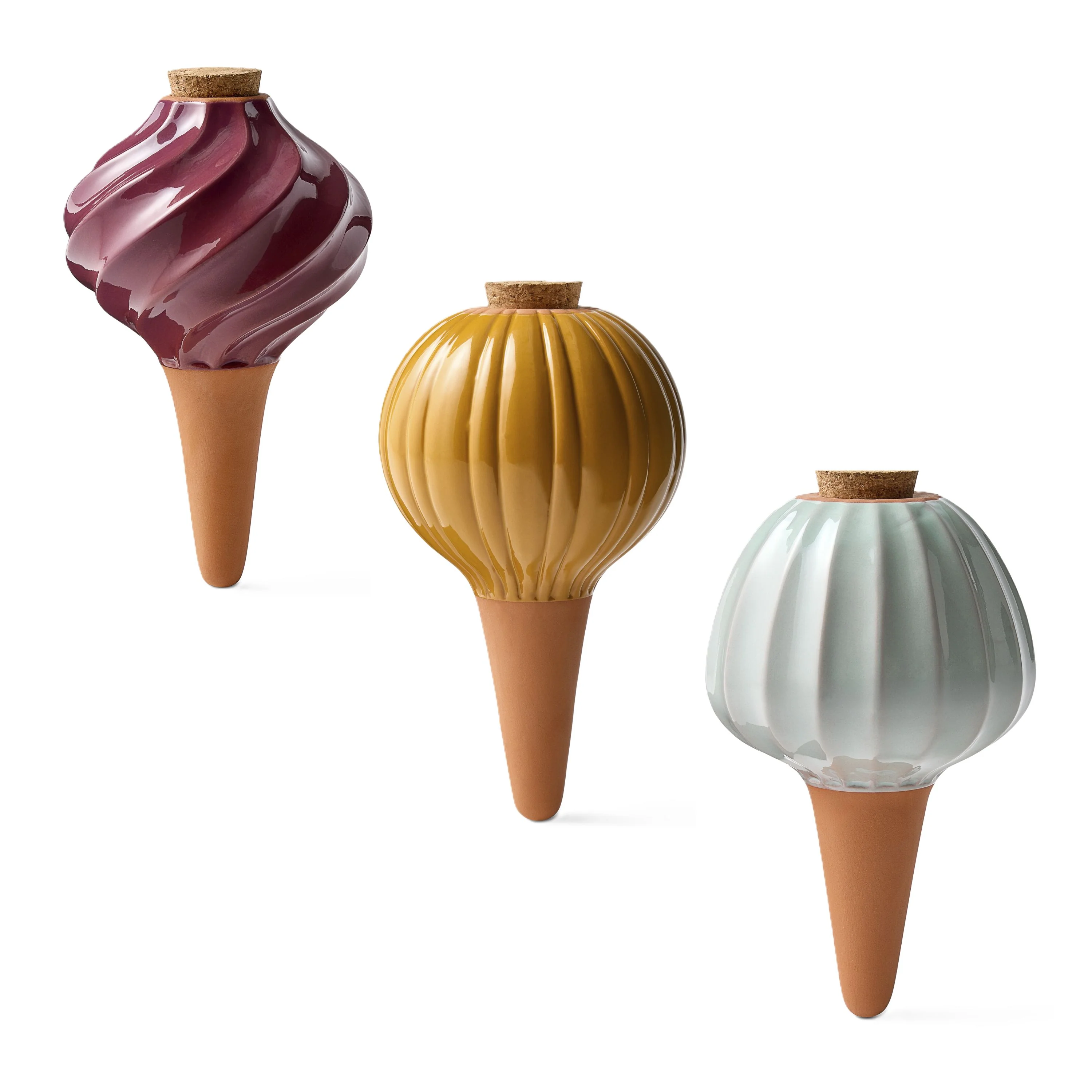 Exclusive Modern Sprout Watering Bulbs Variety Pack Luxury