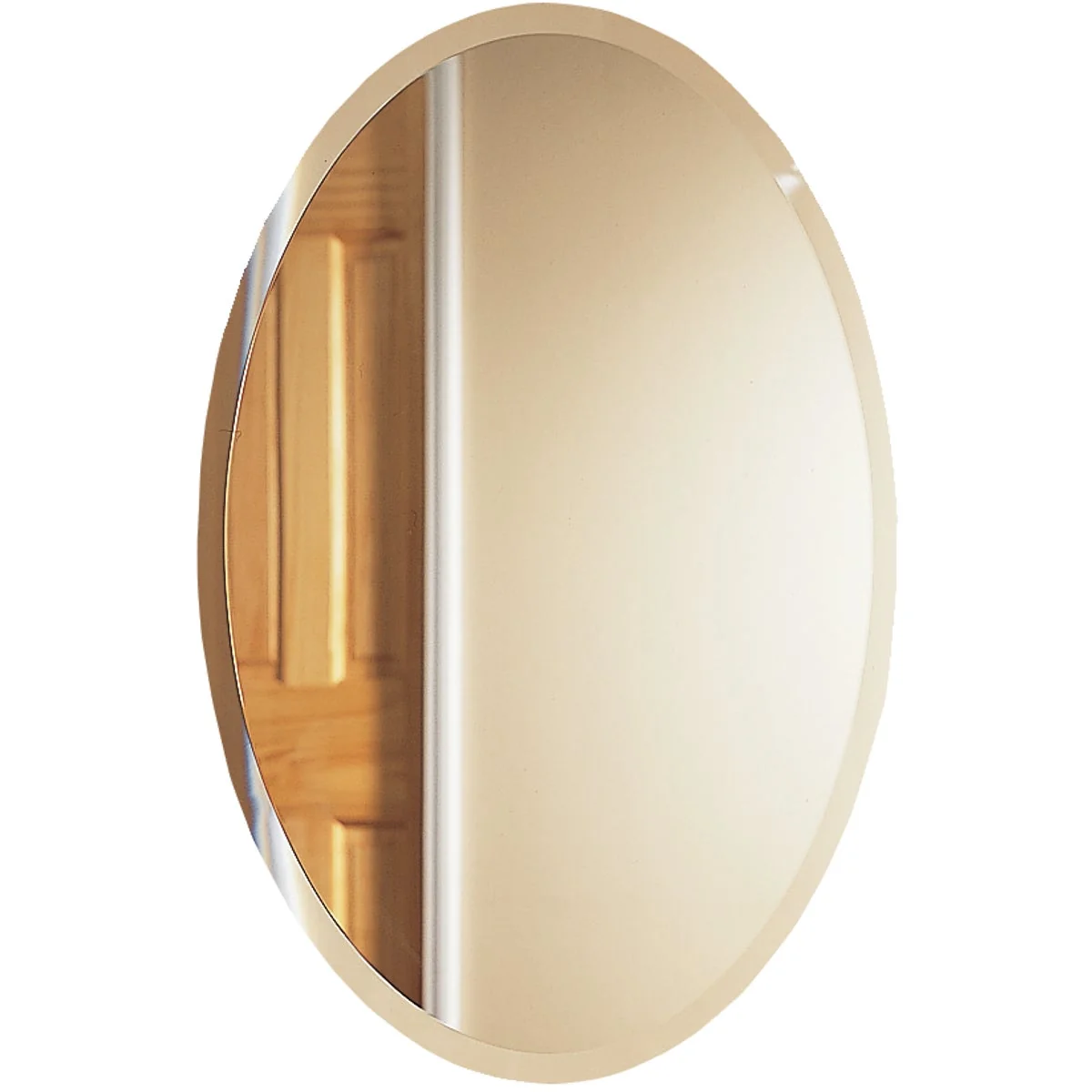 Minimalist Zenith Frameless Beveled 21 In. W x 31 In. H x 4 In. D Single Mirror Surface Mount Oval Medicine Cabinet Casual