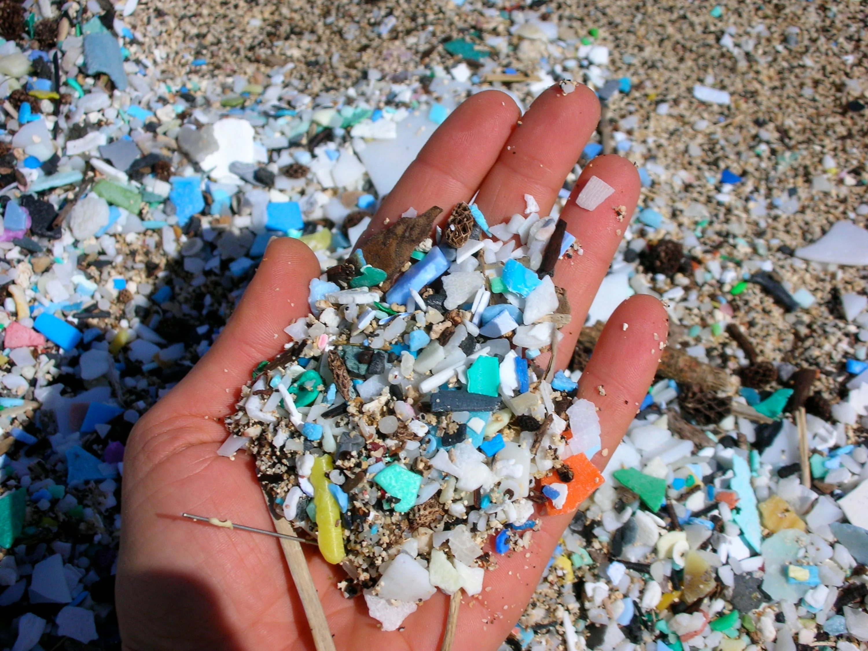 High-Performance Grove Co. Protect People and Planet from Microplastics User-Friendly