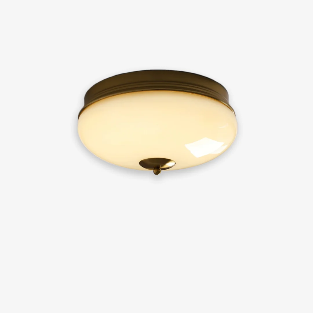 Specialty OTT ronde plafondlamp Fast