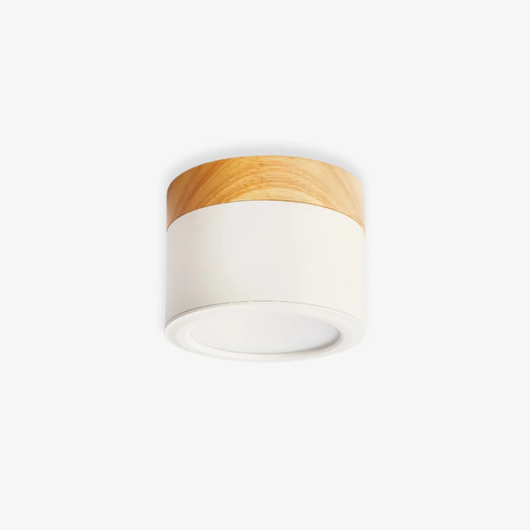 Casual Spot Plafondlamp Trusted
