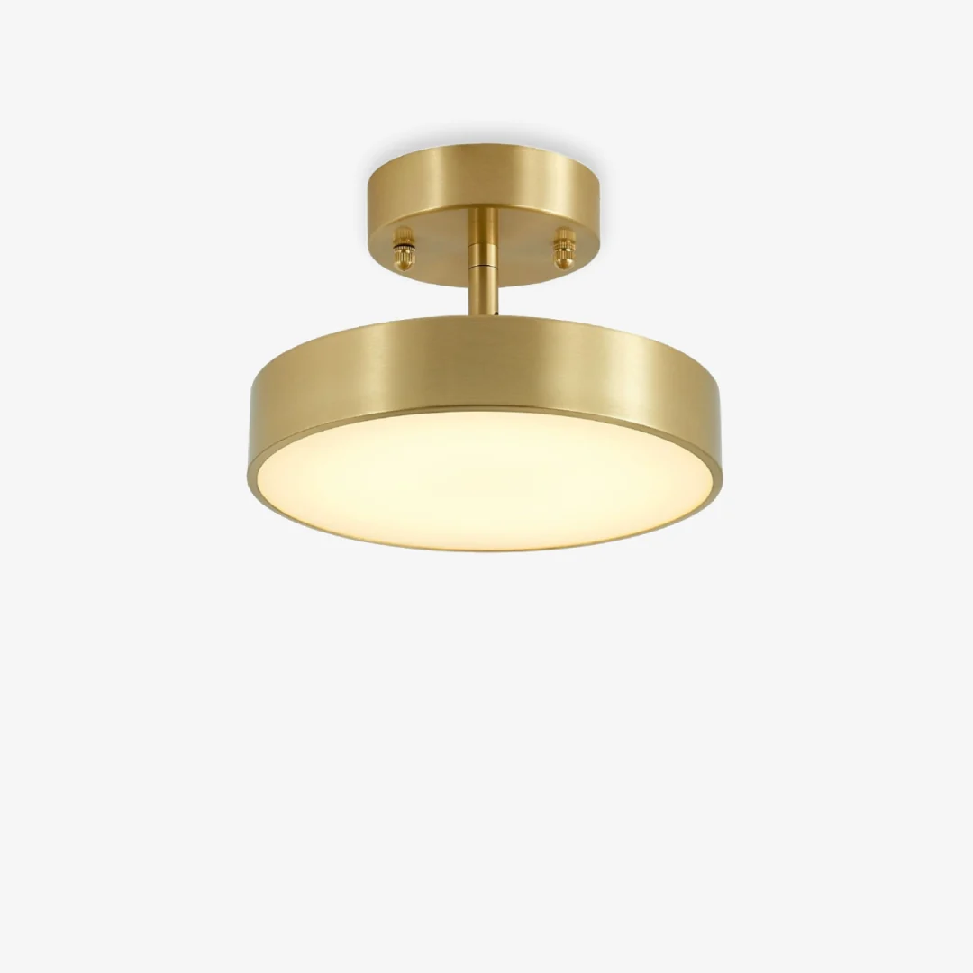 Pure Raviah Plafondlamp Flexible