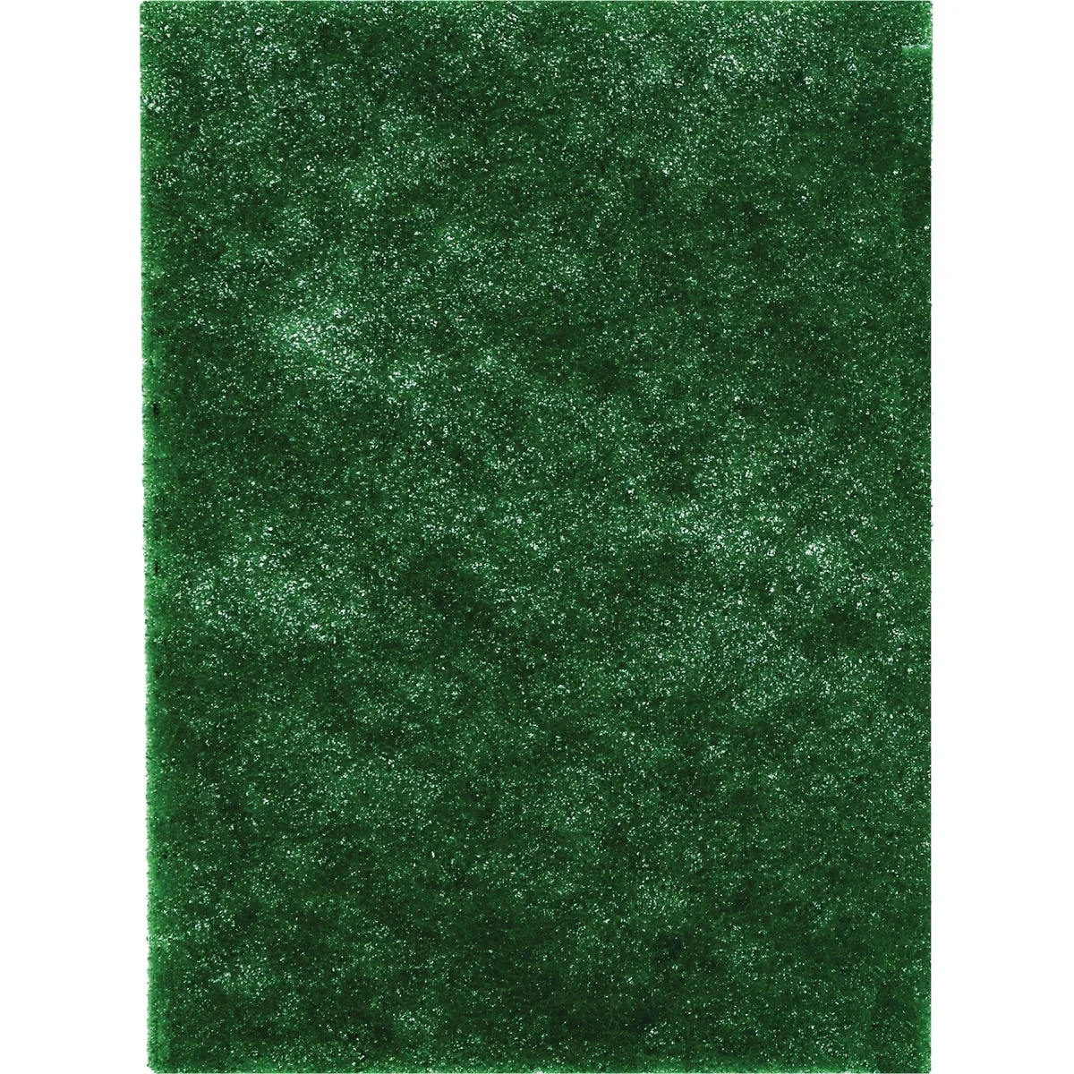Official Diablo 4 In. x 6 In. 220-Grit Fine Stripping Final Finishing Pad 2-Pack Stylish