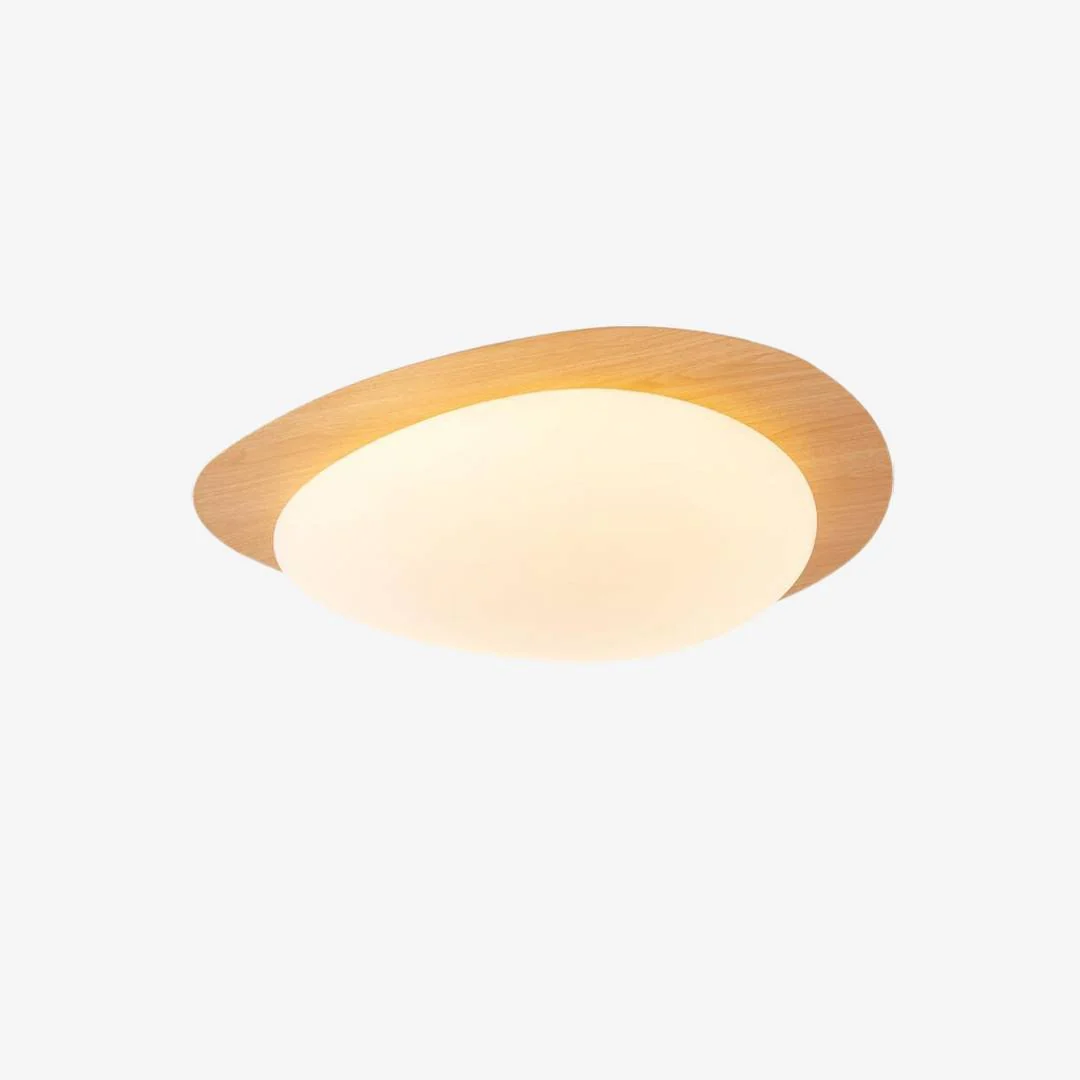 Professional Olla Pebble Plafondlamp Advanced