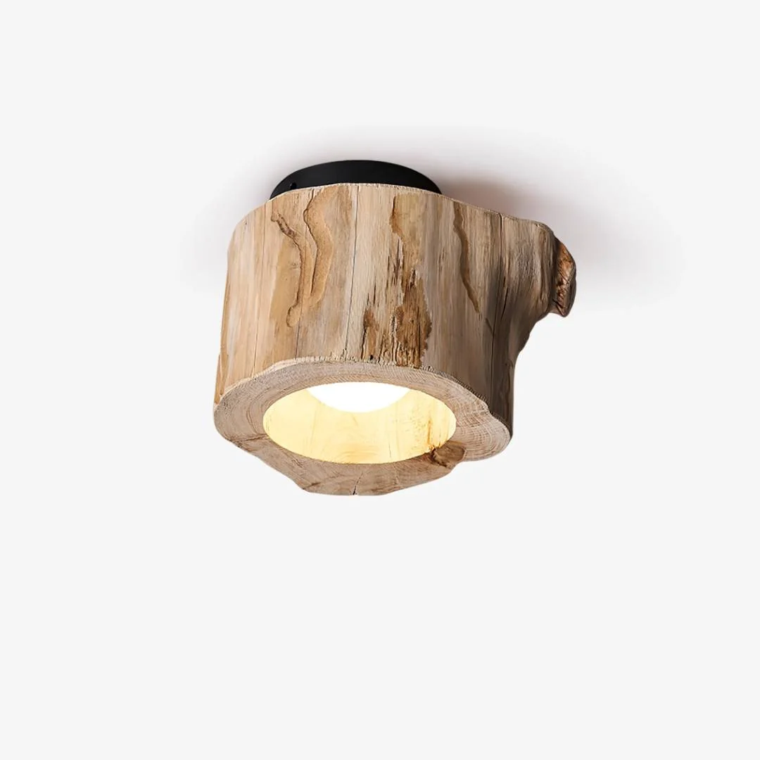 Casual Velden Hollow Plafondlamp Pure