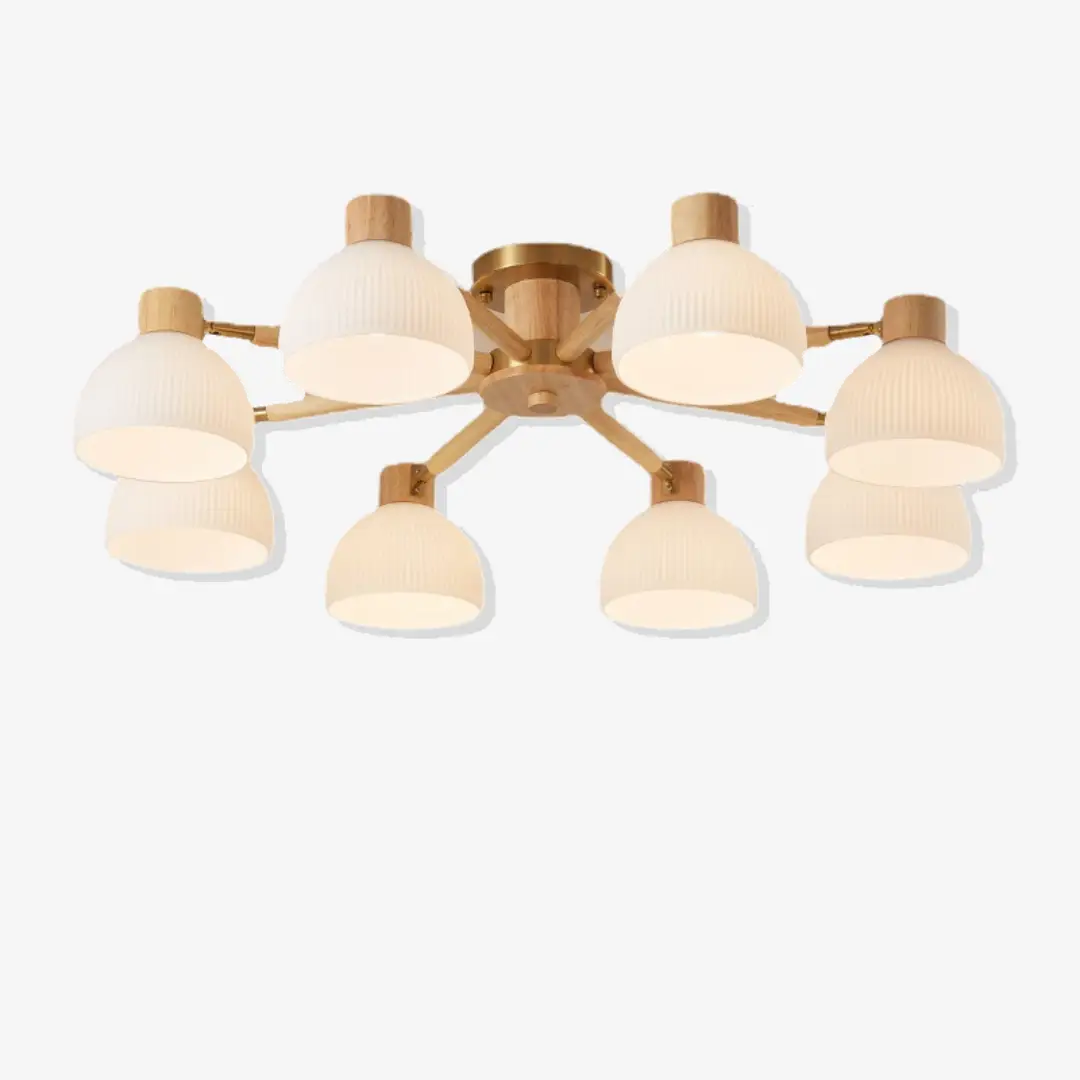 Premium Moderne Flairis Plafondlamp Functional