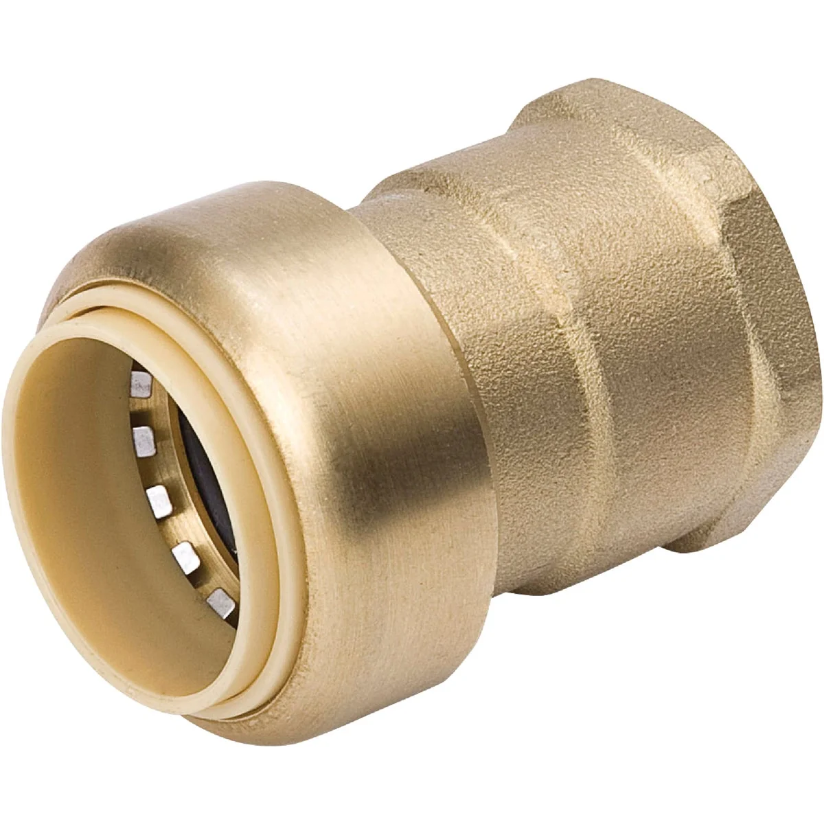 Trendy ProLine 3 4 In. x 3 4 In. FPT Brass Push Fit Adapter Selected