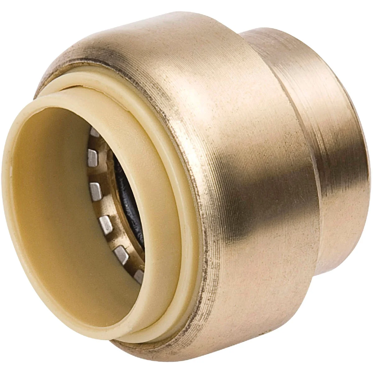 High-Quality ProLine 1 2 In. Brass Push Fit Cap Trendy