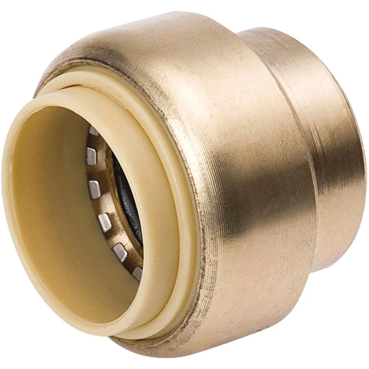 Official ProLine 3 4 In. Brass Push Fit Cap Sustainable