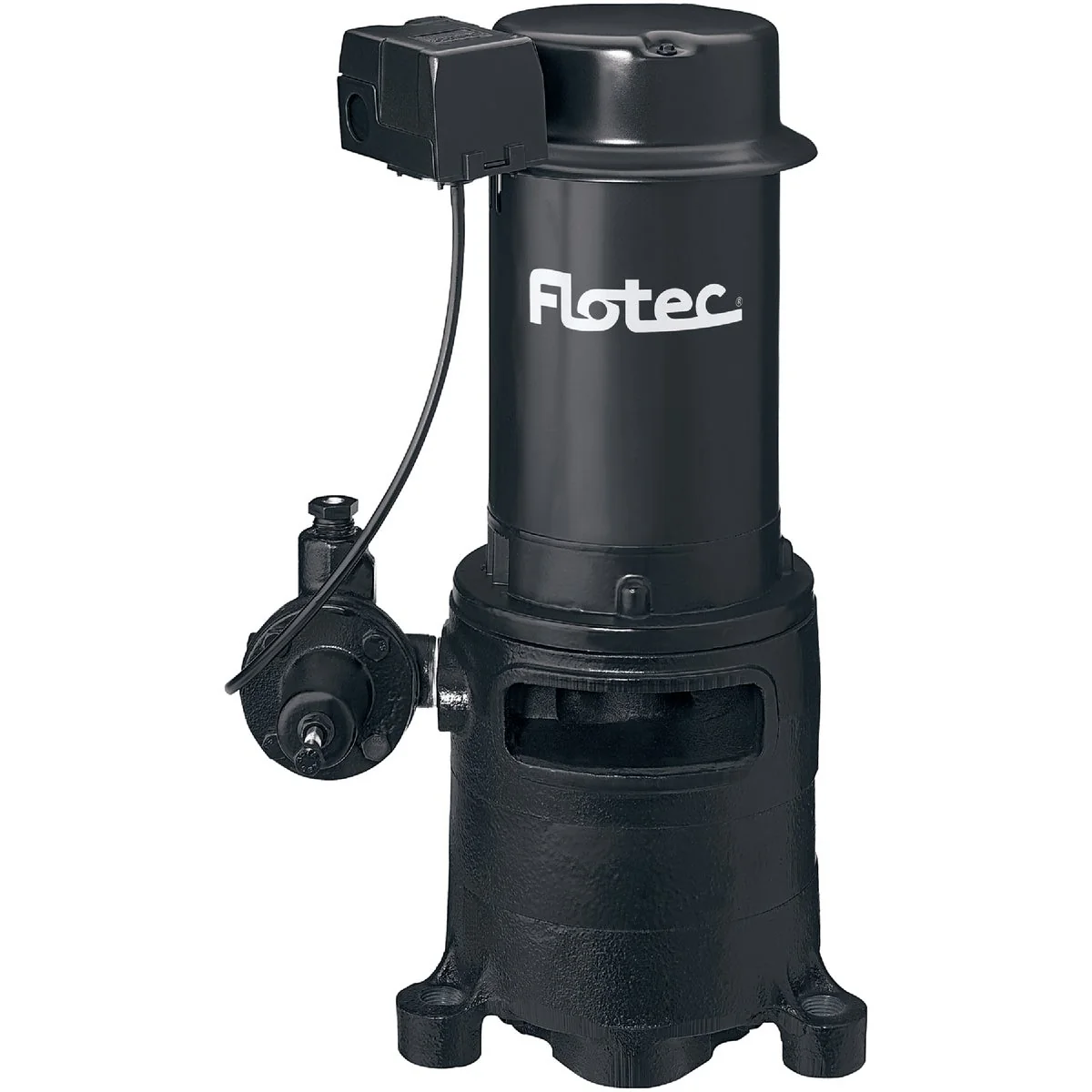 Responsible Flotec 1 HP Cast Iron Vertical Deep Water Well Jet Pump Exclusive