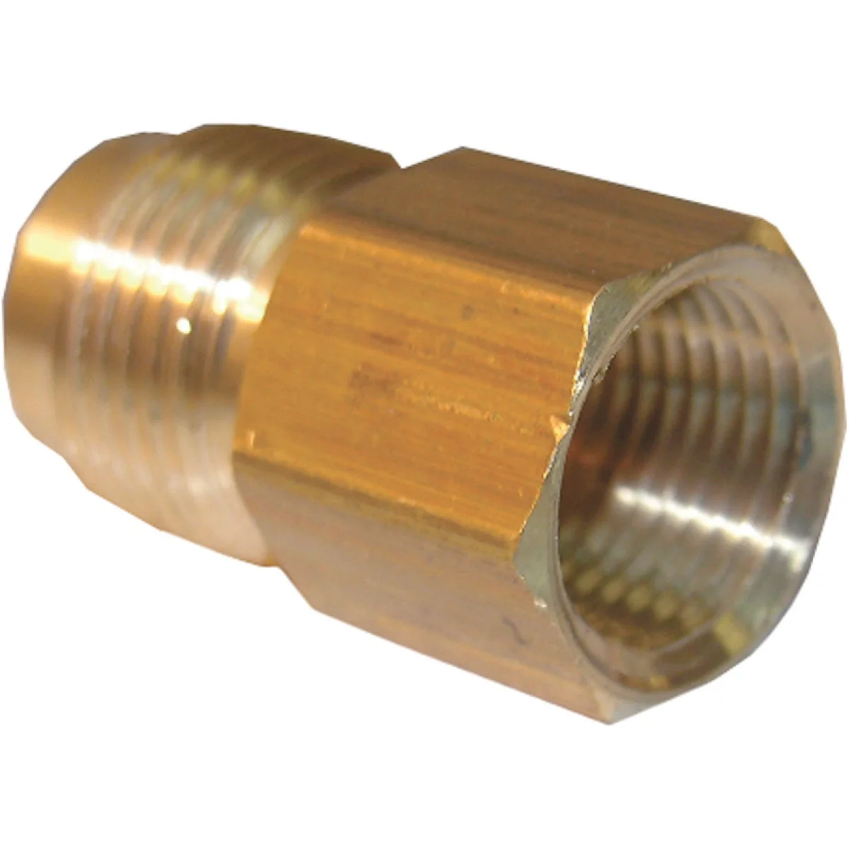 Casual Lasco 1 2 In. M x 3 4 In. FPT Brass Flare Adapter Classic
