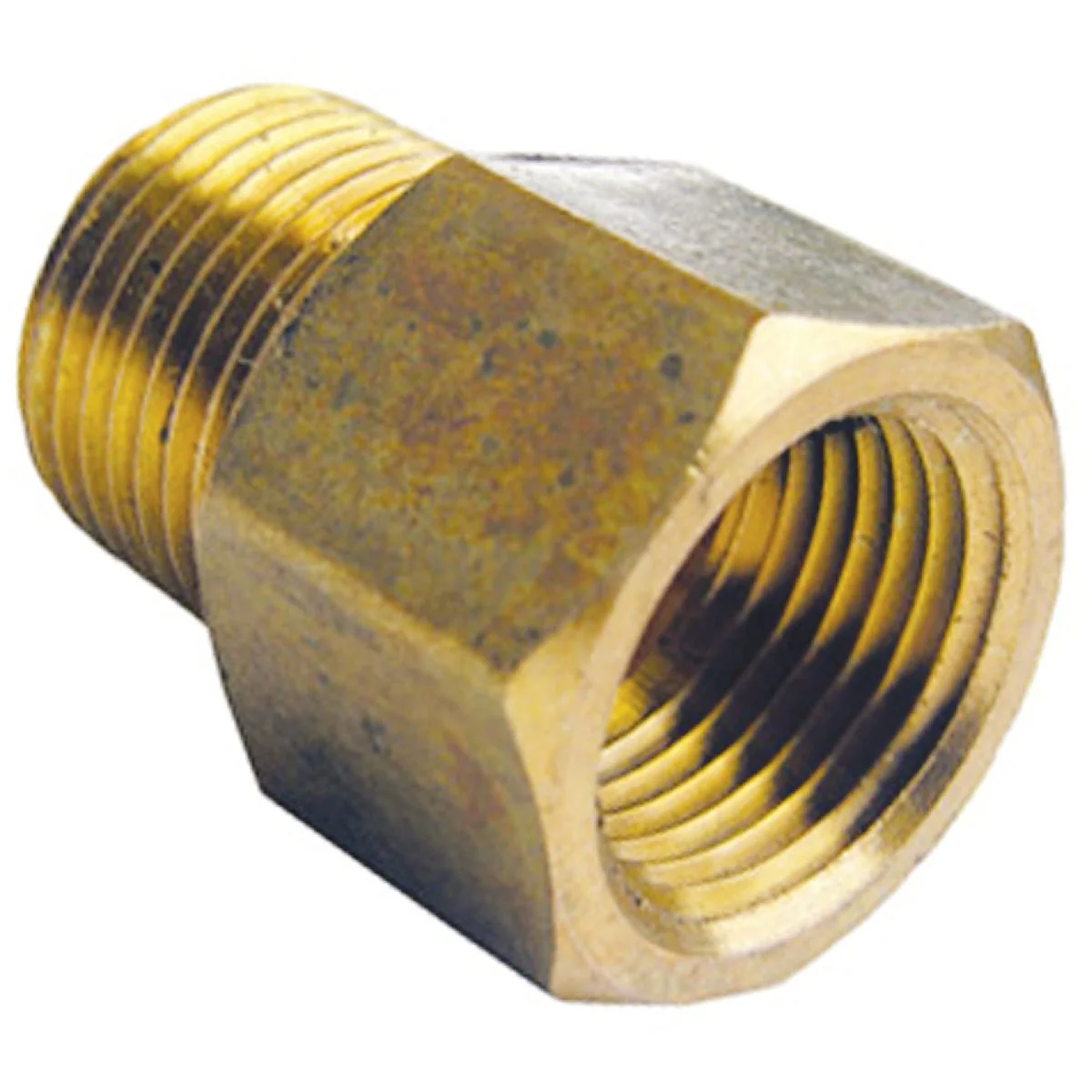 Innovative Lasco 1 8 In. FPT x 1 8 In. MPT Brass Adapter Recyclable