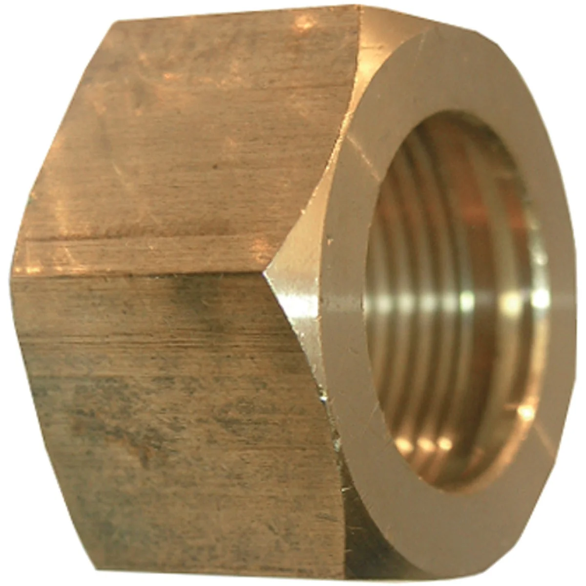 Organic Lasco 5 16 In. Compression Nut and Sleeve Efficient