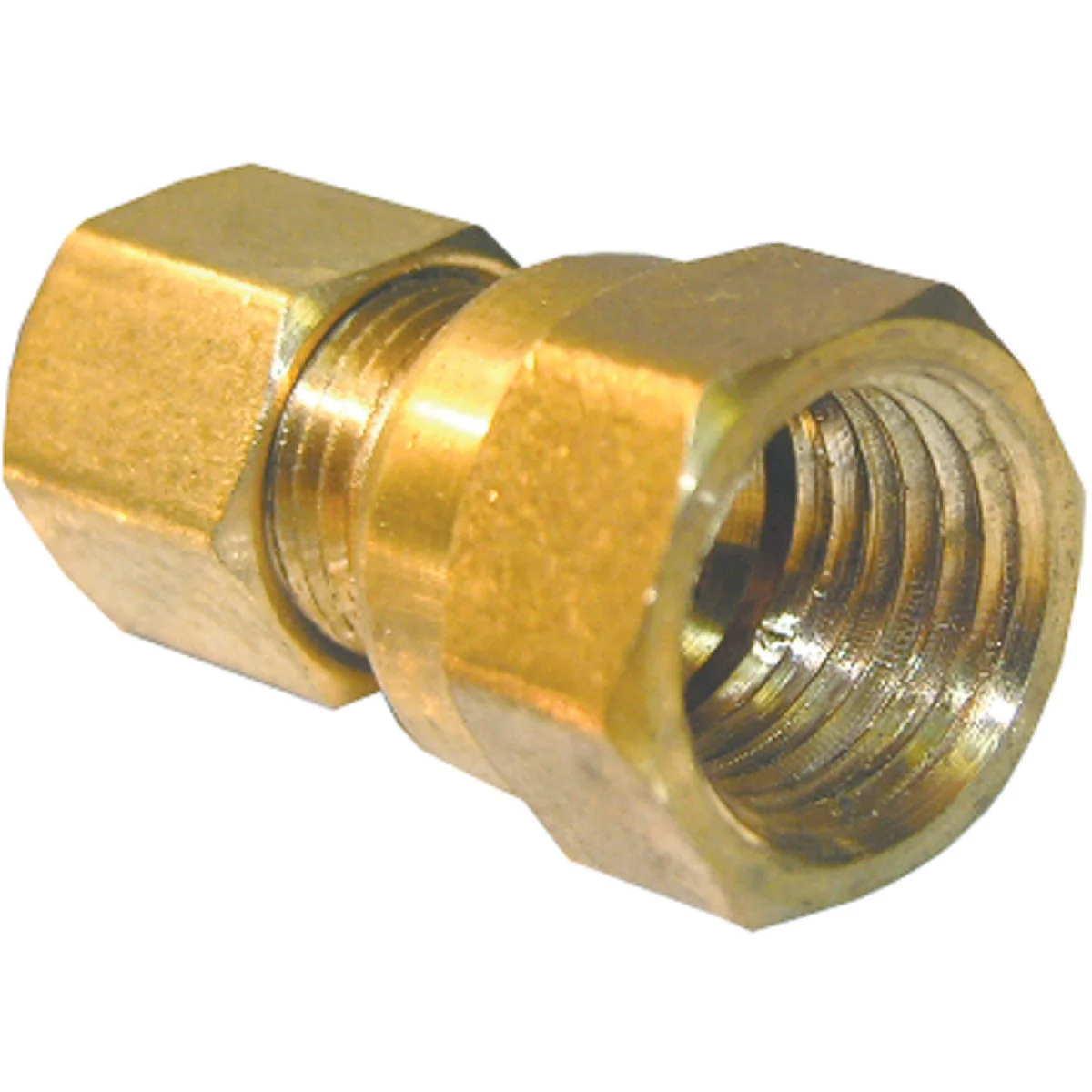 Dependable Lasco 1 4 In. C x 1 4 In. FPT Brass Compression Adapter Secure
