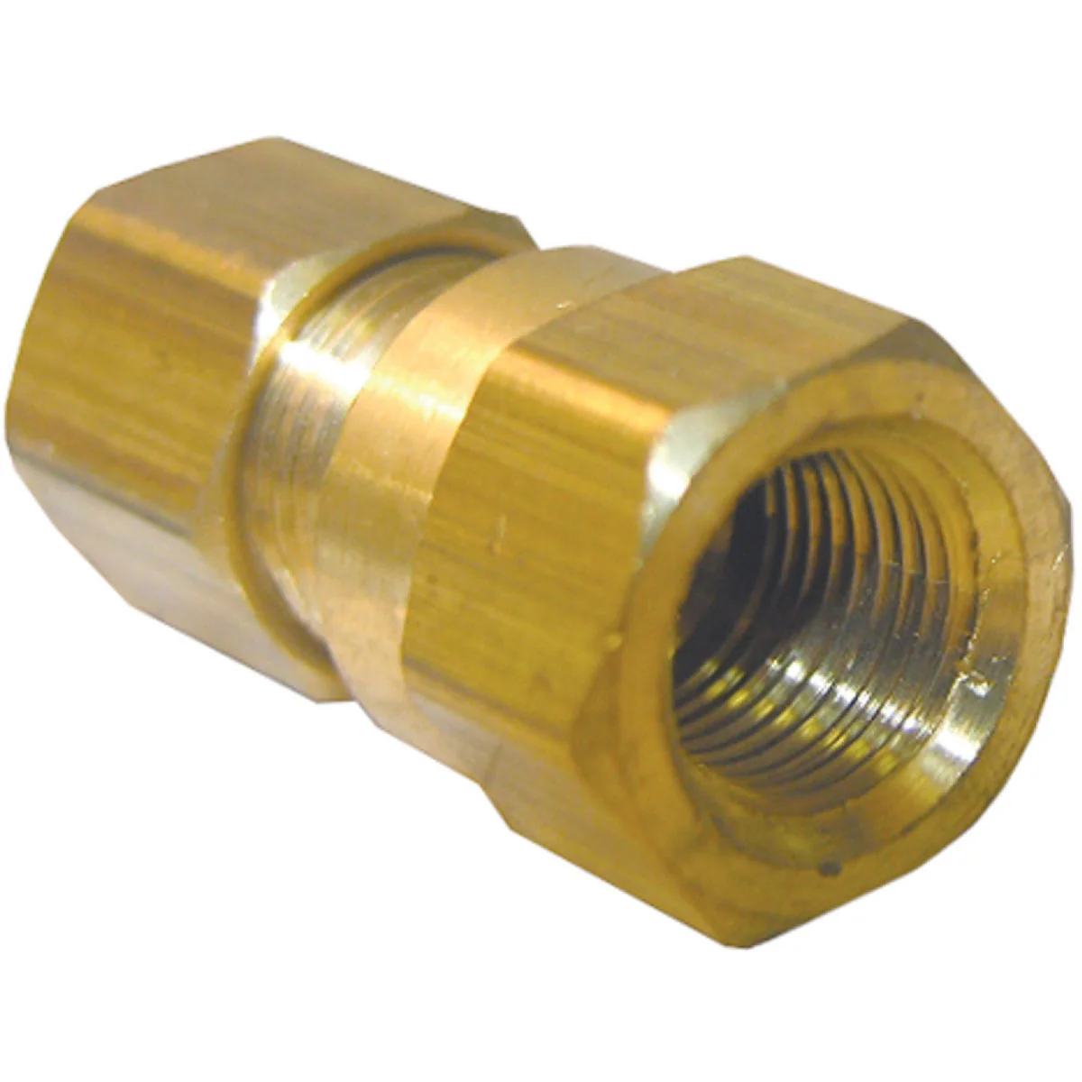 Superior Lasco 1 4 In. C x 1 8 In. FPT Brass Compression Adapter Reusable