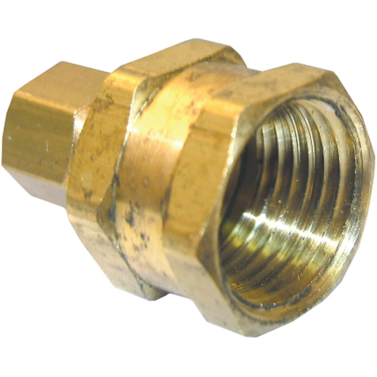 Soft Lasco 1 4 In. C x 1 2 In. FPT Brass Compression Adapter Green