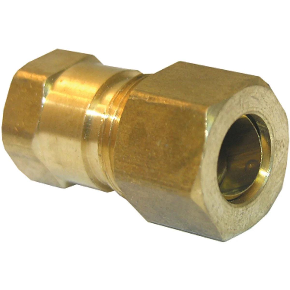 Classic Lasco 3 8 In. C x 1 8 In. FPT Brass Compression Adapter Pure
