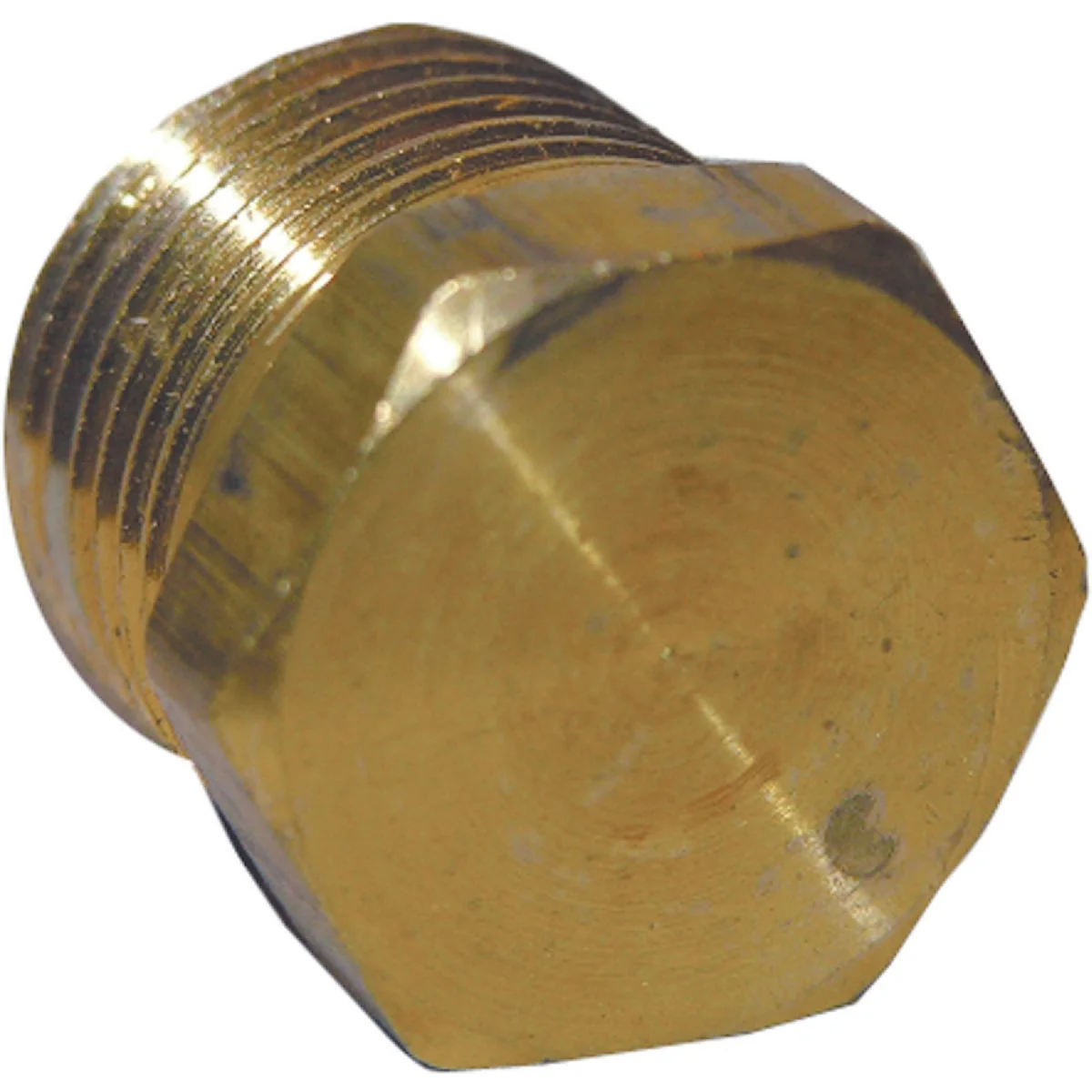 Sustainable Lasco 1 4 In. MPT Brass Hex Head Plug Secure