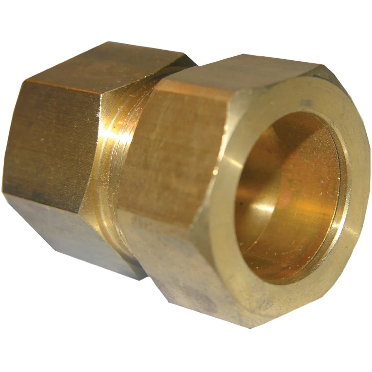 Pure Lasco 7 8 In. C x 3 4 In. FPT Brass Compression Adapter First-Class