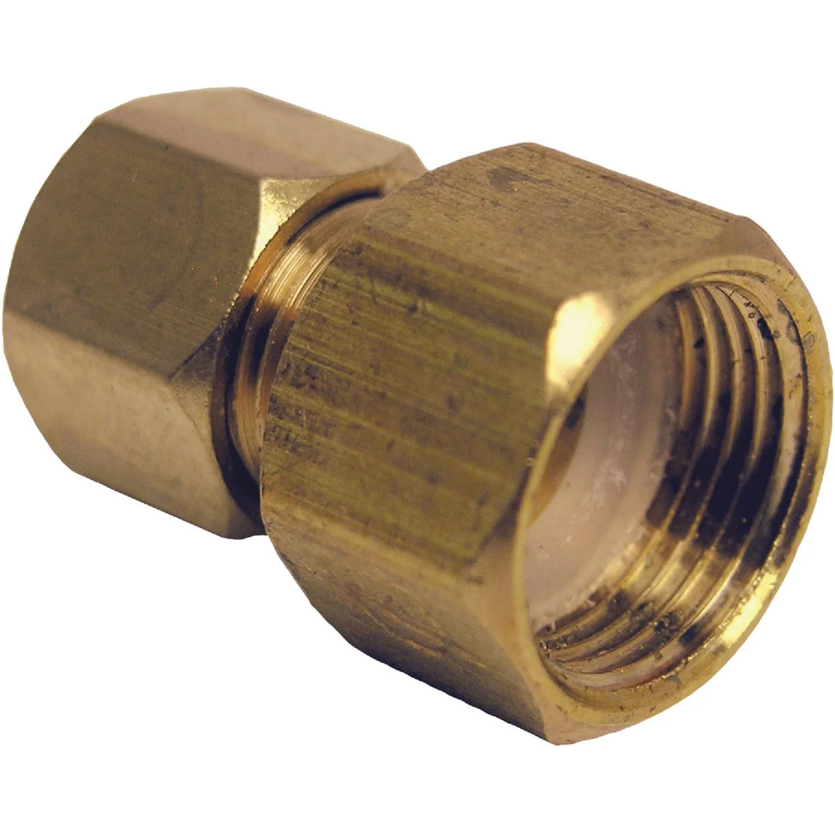 Elite Lasco 3 8 In. FC x 1 4 In. MC Brass Compression Adapter Genuine