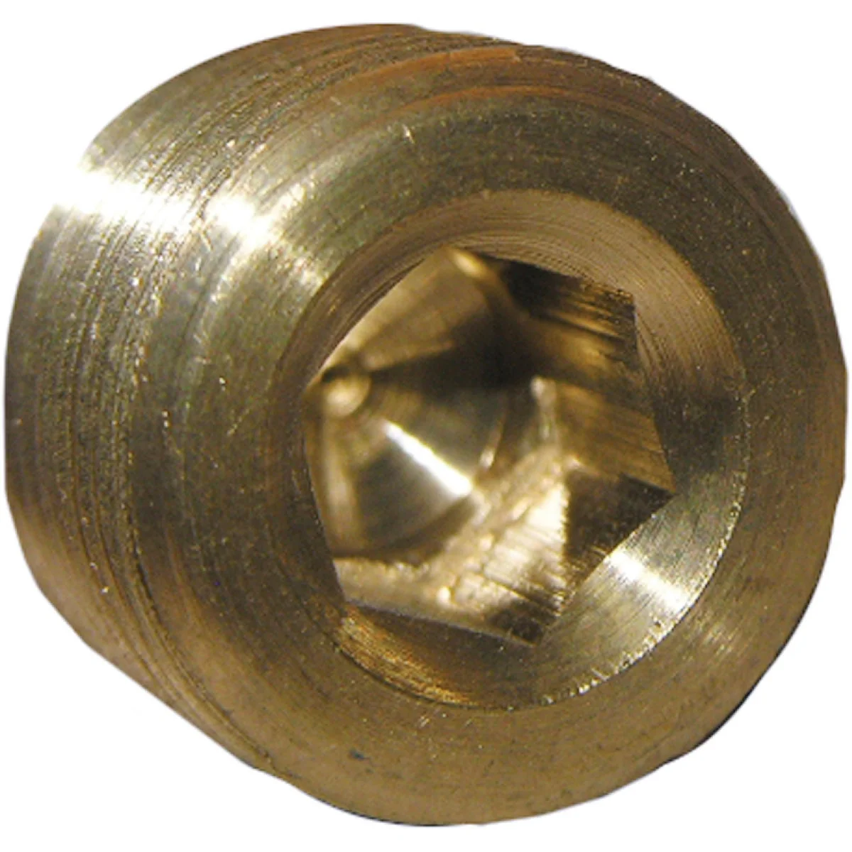 Durable Lasco 1 4 In. MPT Brass Countersunk Plug Genuine