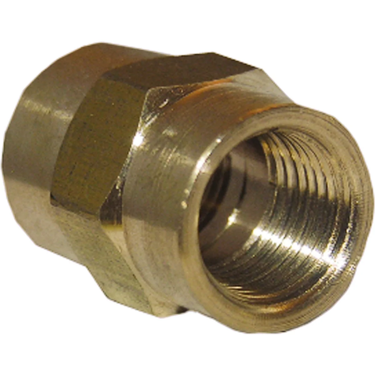 Responsible Lasco 1 8 In. FPT x 1 8 In. FPT Yellow Brass Coupling Clean