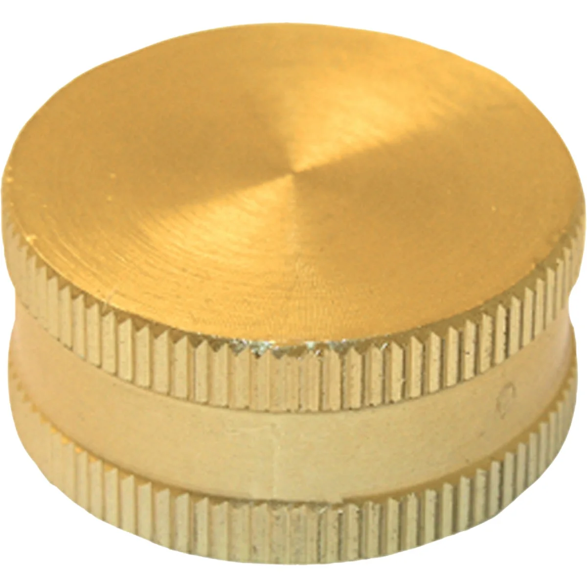 Easy-to-Use Lasco 3 4 In. FHT Brass Hose Cap Original Design