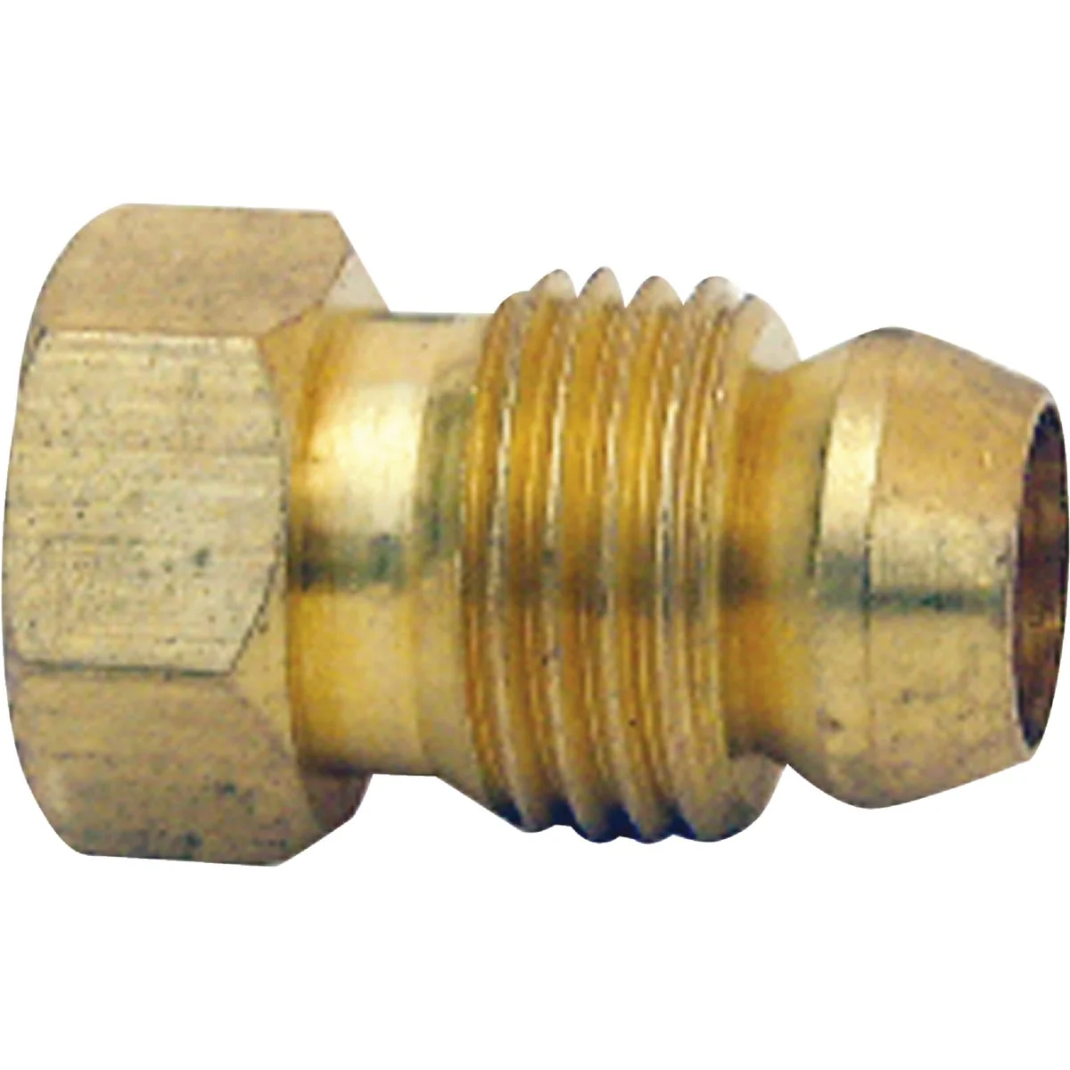 Healthy Lasco 1 4 In. Brass Inverted Flare Connector Comfortable