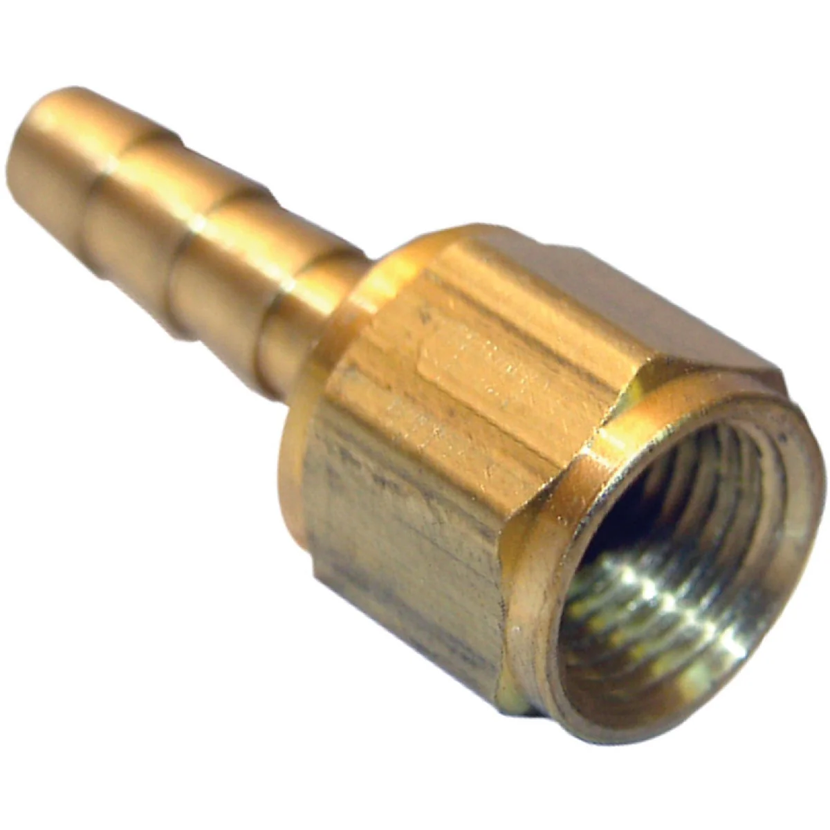 Comfortable Lasco 1 8 In. FPT X 1 4 In. Brass Hose Barb Adapter Innovative