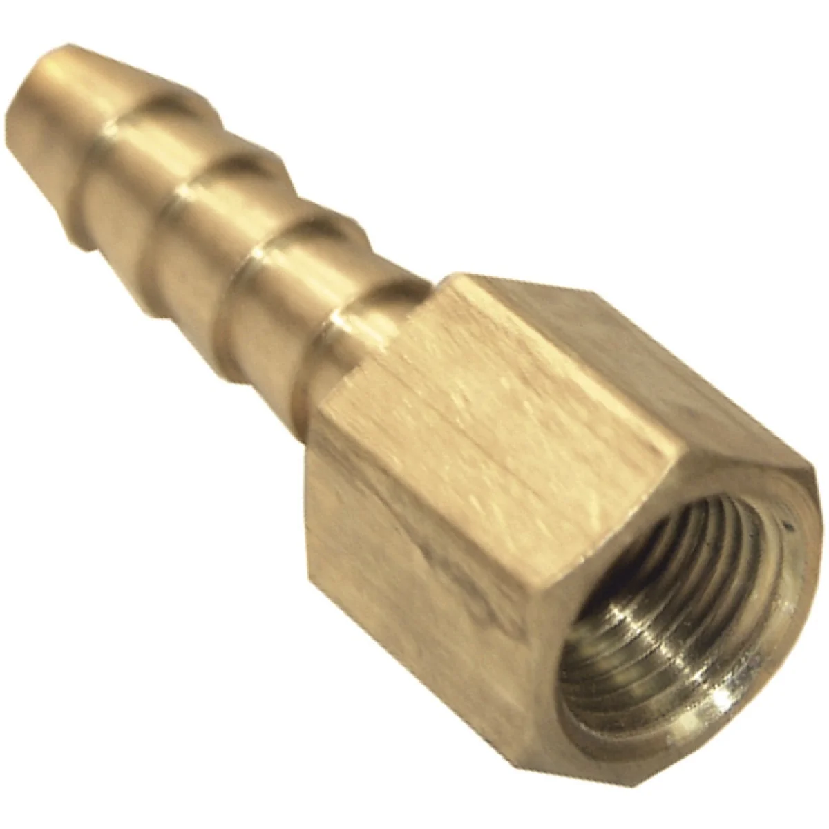 Long-Lasting Lasco 1 8 In. FPT X 1 8 In. Brass Hose Barb Adapter Lightweight