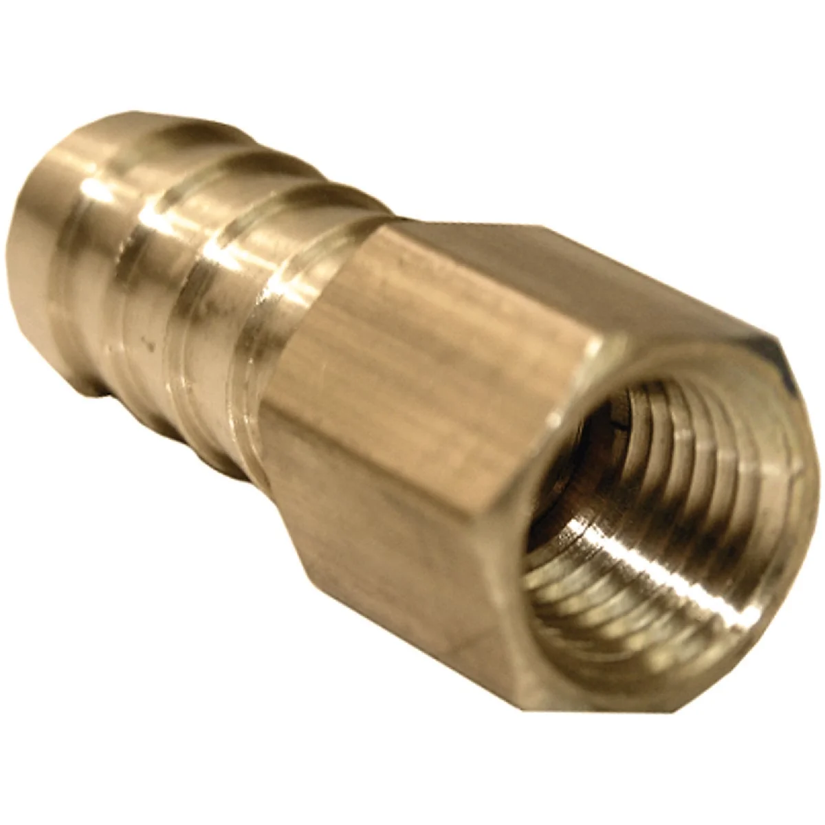 Specialty Lasco 1 4 In. FPT x 1 2 In. Brass Hose Barb Adapter Smooth