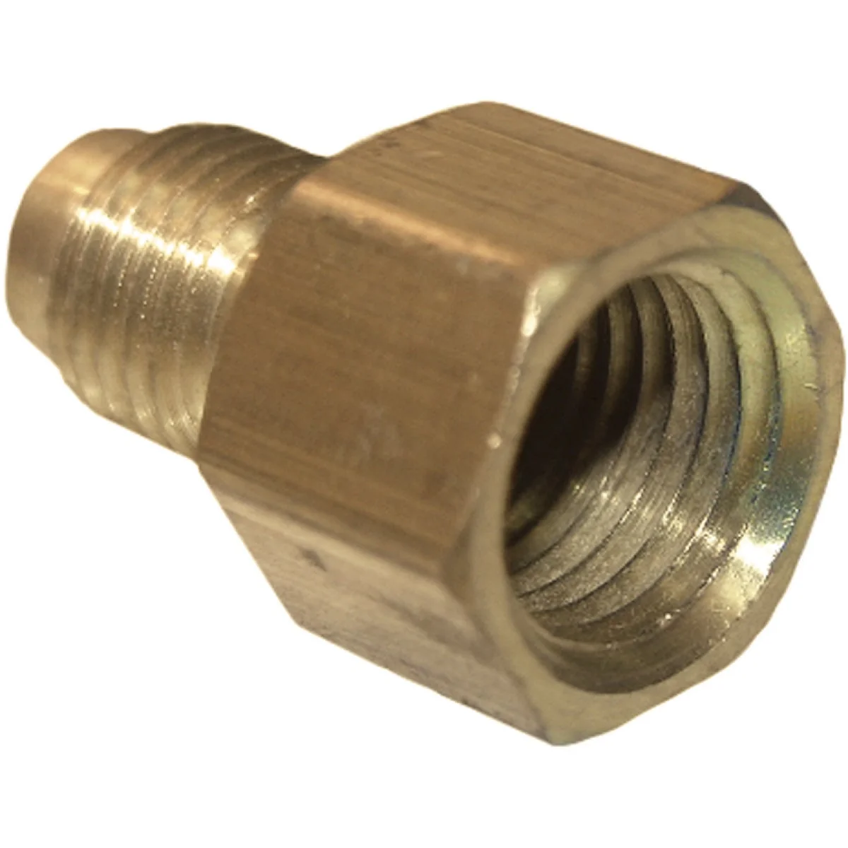 Relaxed Lasco 1 4 In. M x 1 8 In. FPT Brass Flare Adapter Clean