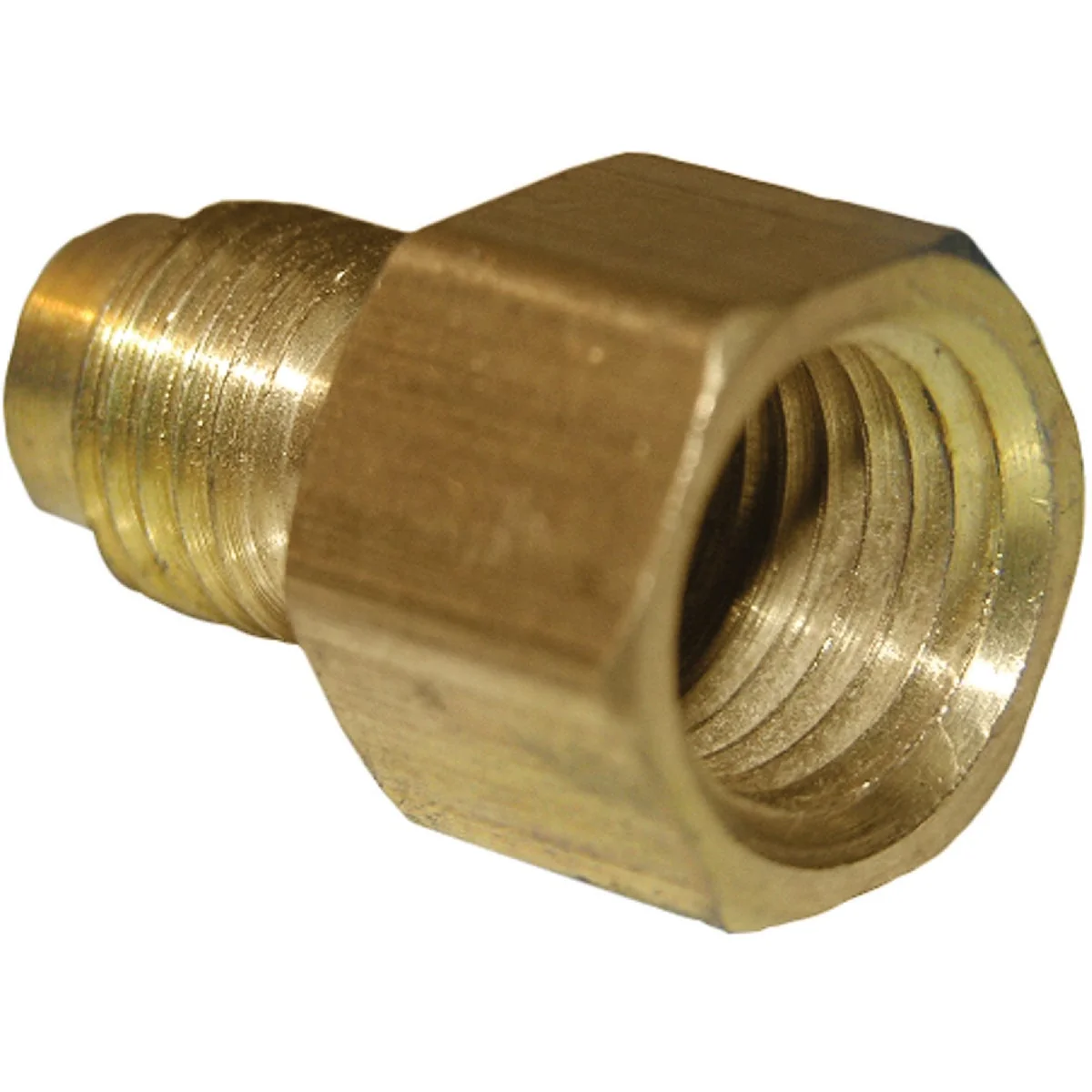 Refined Lasco 1 4 In. M X 3 8 In. FPT Brass Flare Adapter Original Design