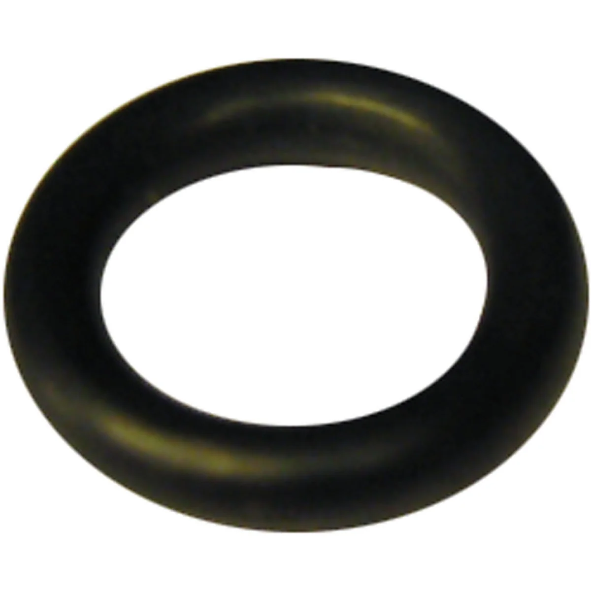 Elite Lasco 23 1 2 In. x 3 4 In. O-Ring Secure