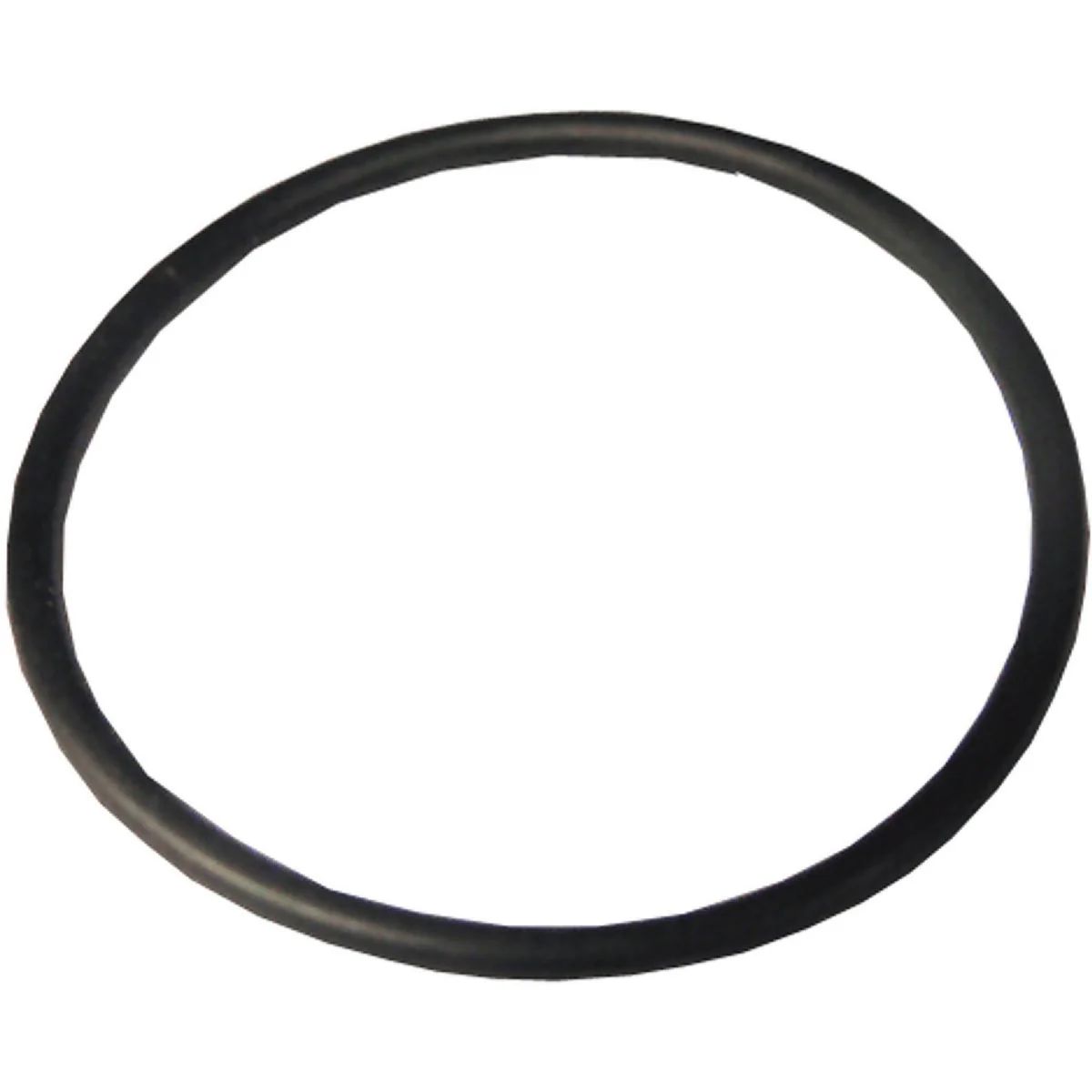 Safe Lasco 64 1-3 16 In. x 1-5 16 In. O-Ring Quality