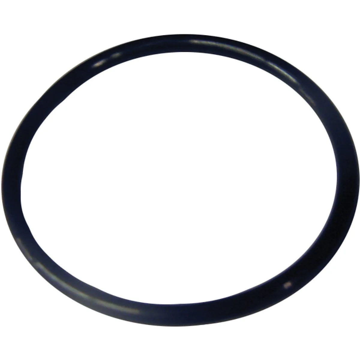 Powerful Lasco 98 1-7 8 In. x 2-1 8 In. O-Ring Detailed