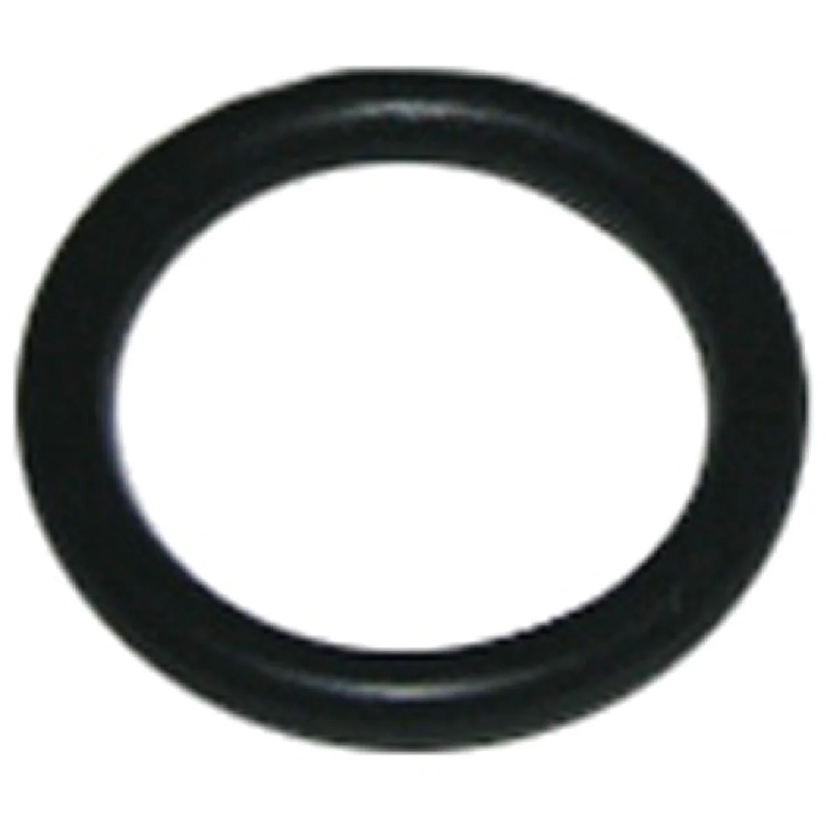 Detailed Lasco 24 33 64 In. x 5 8 In. O-Ring Practical