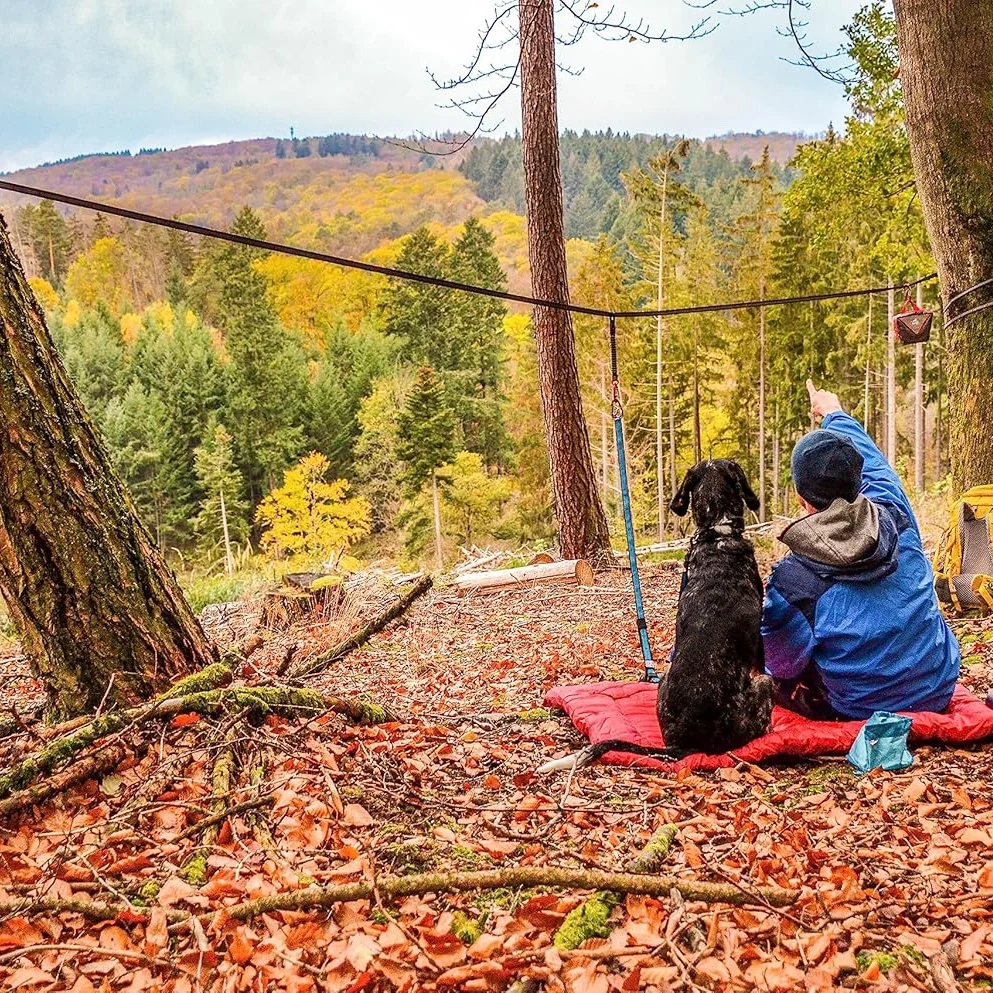 Superior Kurgo Camping Tether Safe