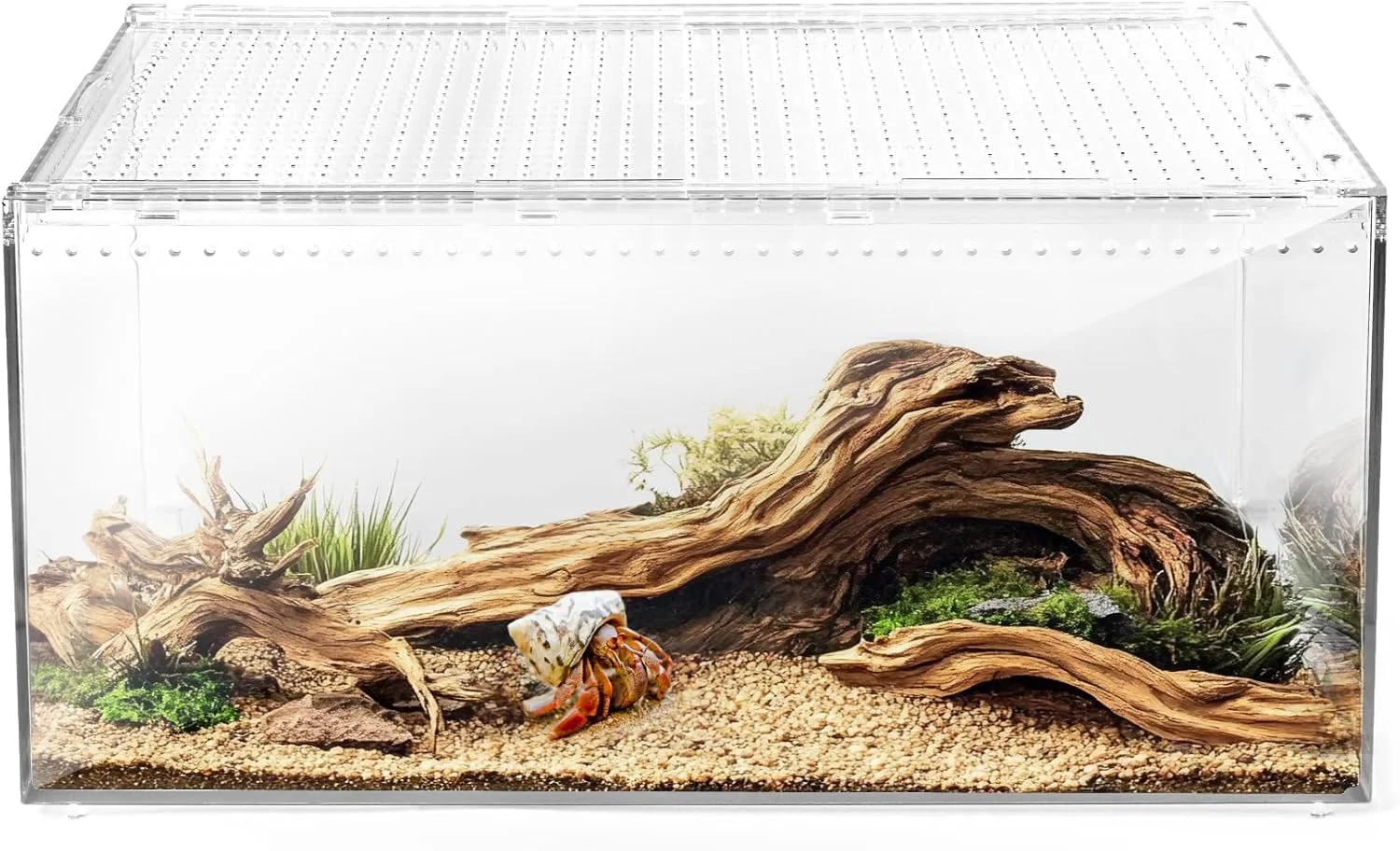 Authentic AZV Reptile Terrarium Tank Versatile Enclosure for Leopard Premium Material