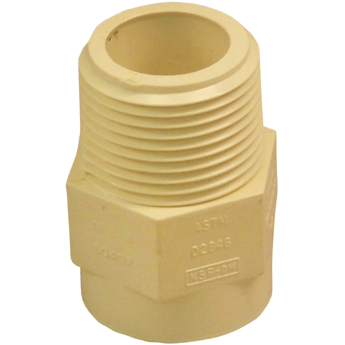 Exceptional Charlotte Pipe 3 4 In. Male Thread to CPVC Adapter 10-Pack Modern
